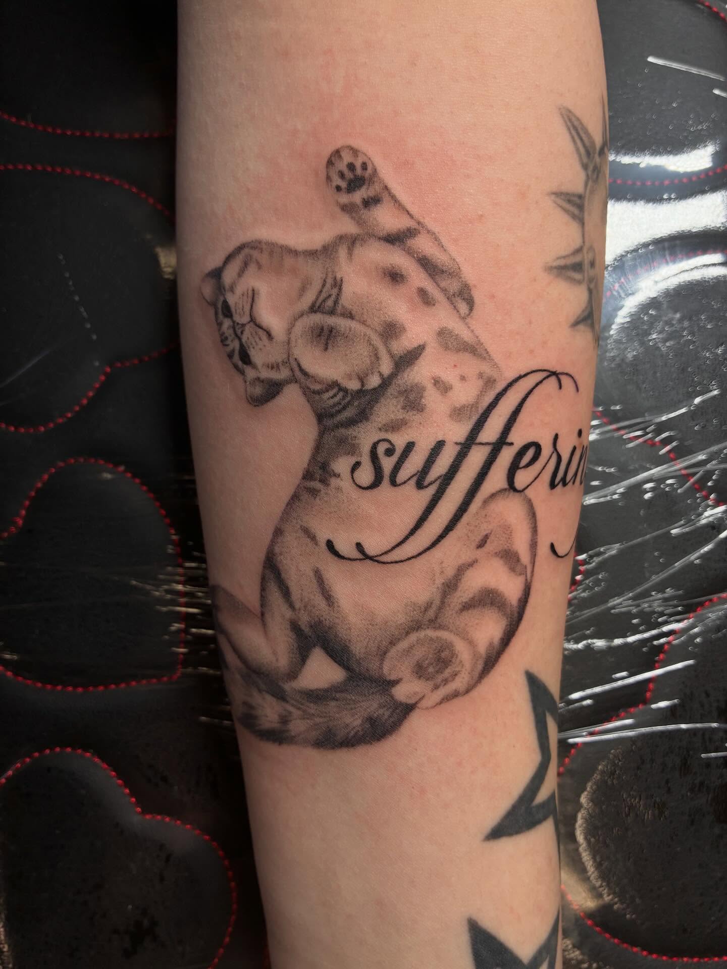 Sleeping cat black and grey tattoo on the forearm by Kat π