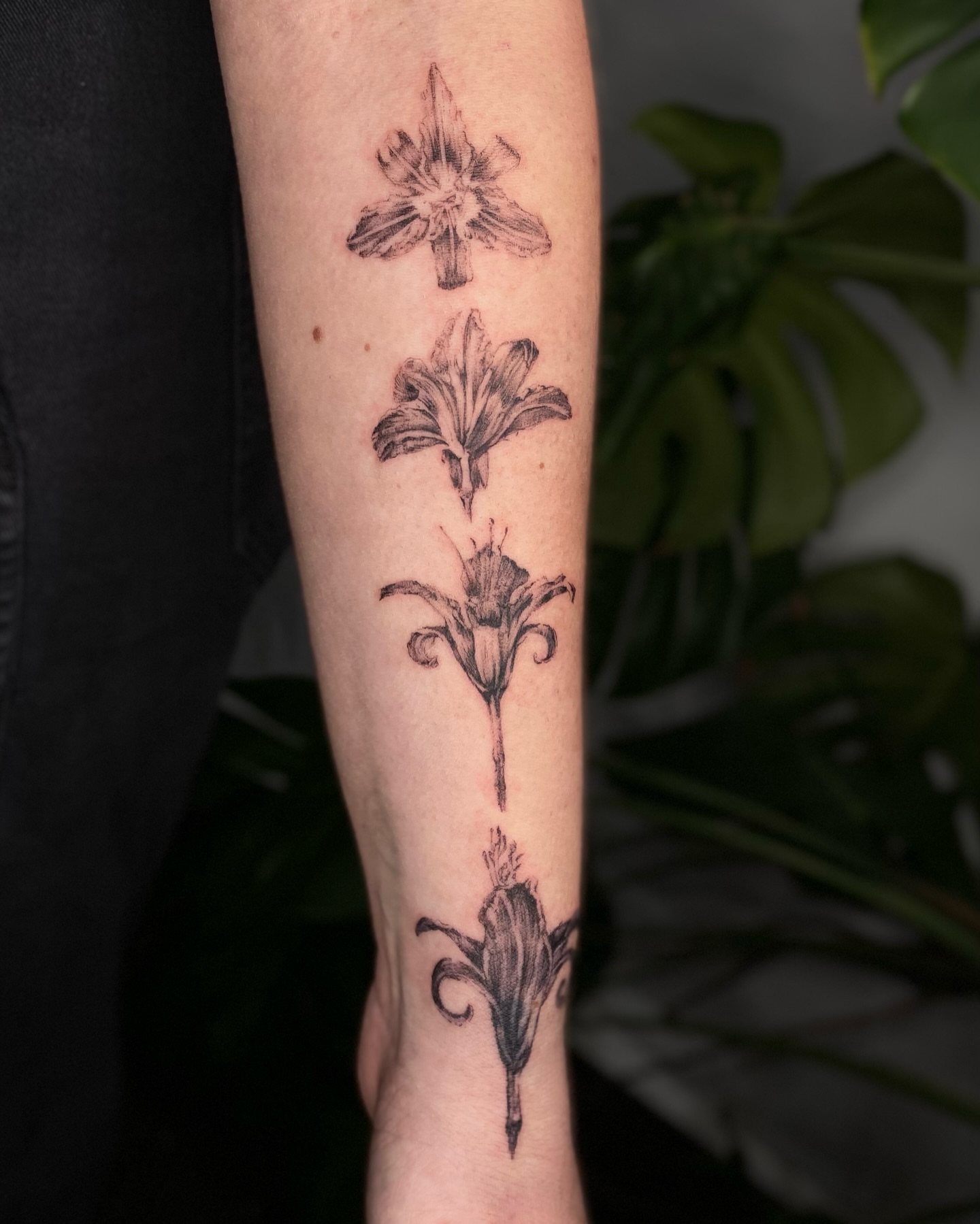 Tattoo by @cowgurl_bebop — black_and_grey