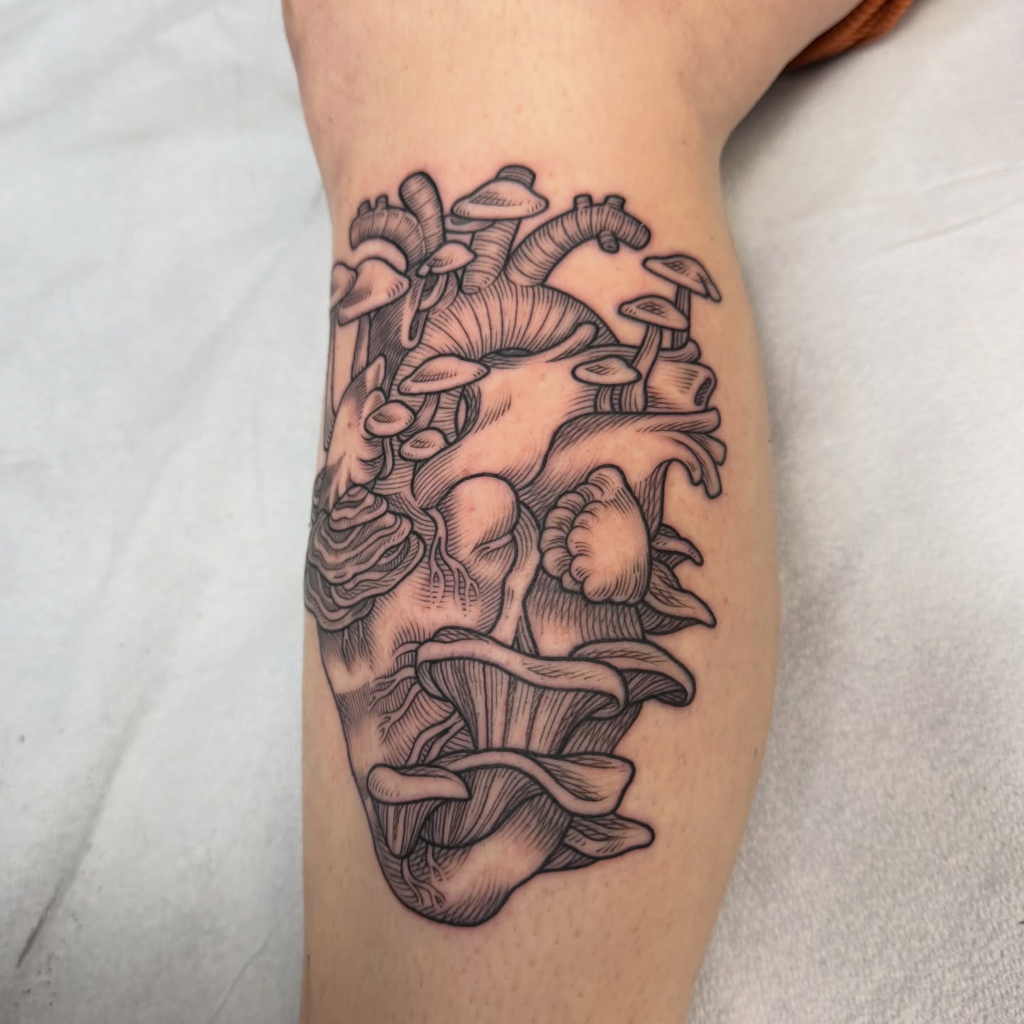 Heart with mushrooms realism tattoo on the forearm by Taylor 🍂☕️