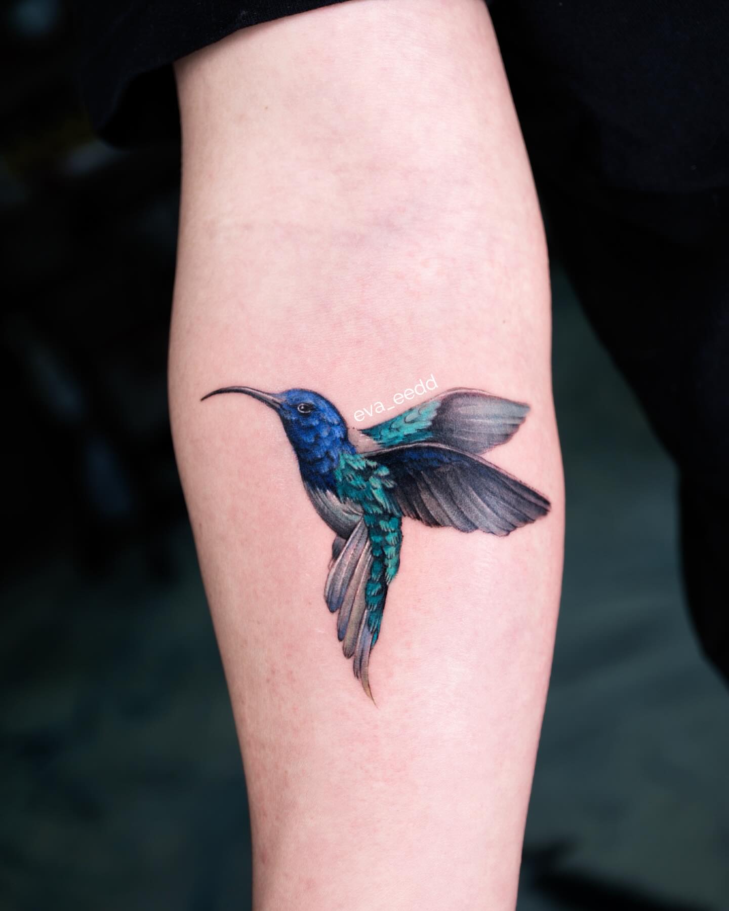 Hummingbird realism tattoo on the forearm by Eva Liu
