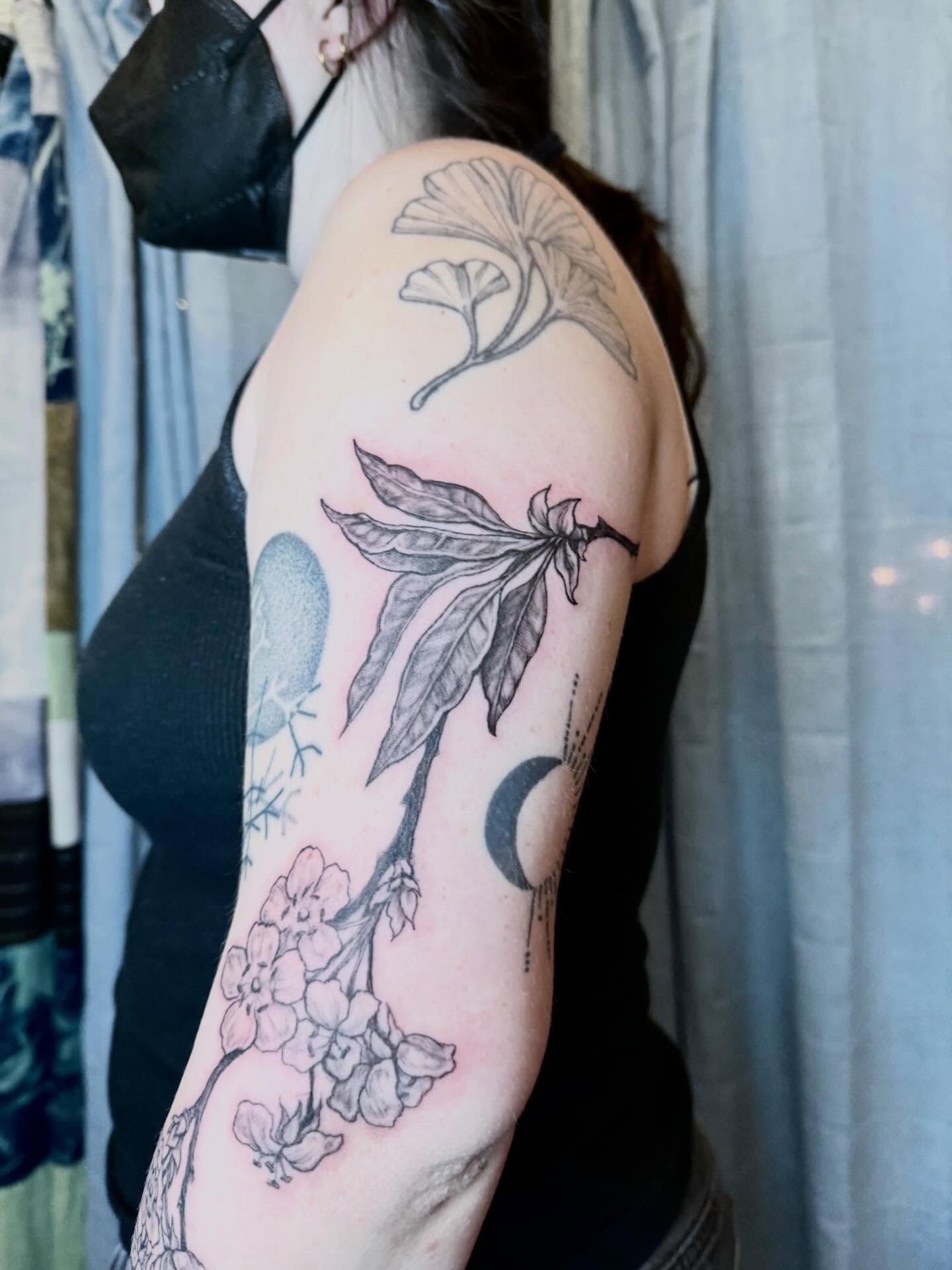 Botanical black and grey tattoo on the upper arm by Emily Rose Lumsdaine