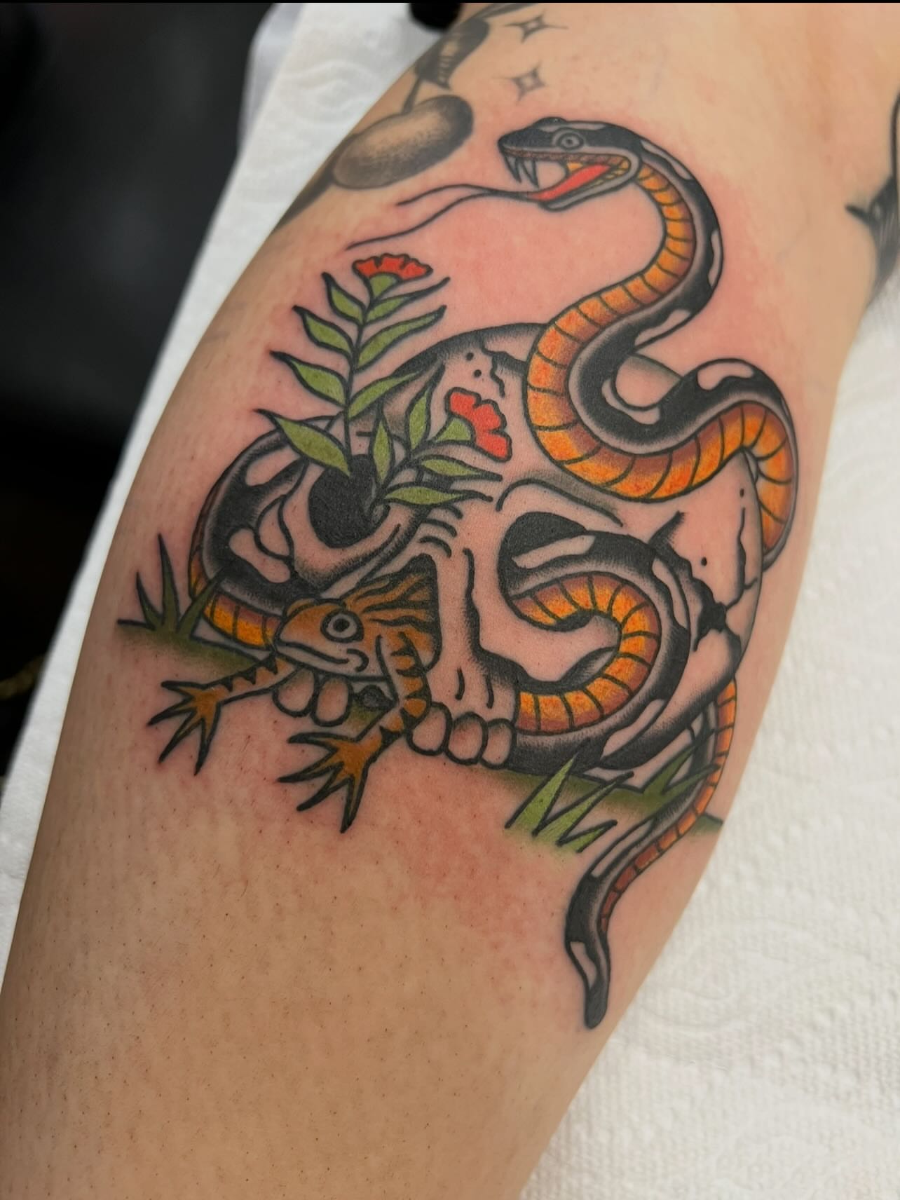 Snake and skull American traditional tattoo on the forearm by Kelsey Lane