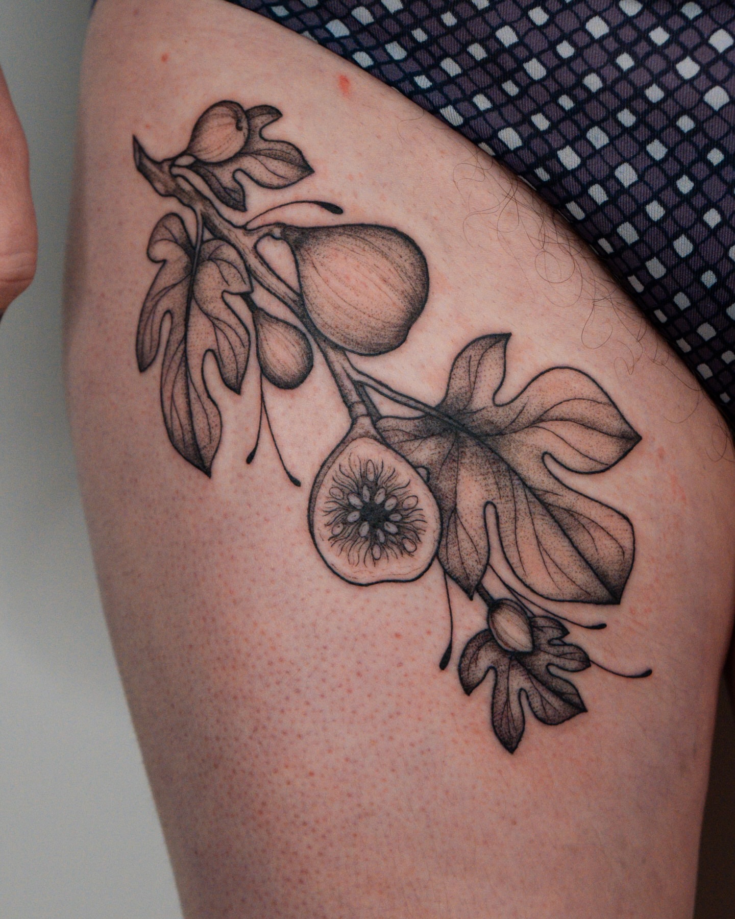 Figs and leaves dotwork tattoo on the thigh by Mikayla Sue