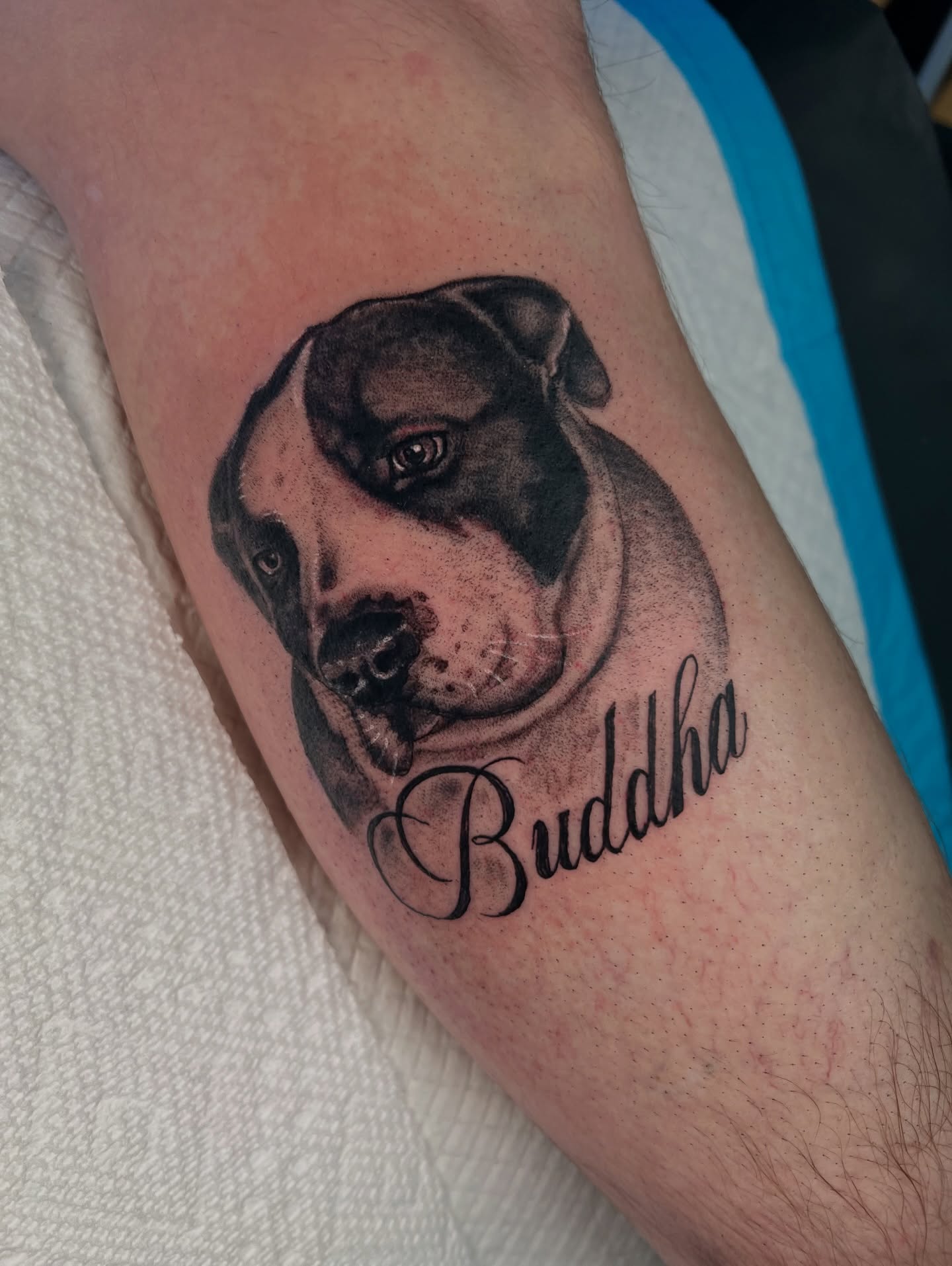 Dog realism tattoo on the forearm by Brandon Durbin