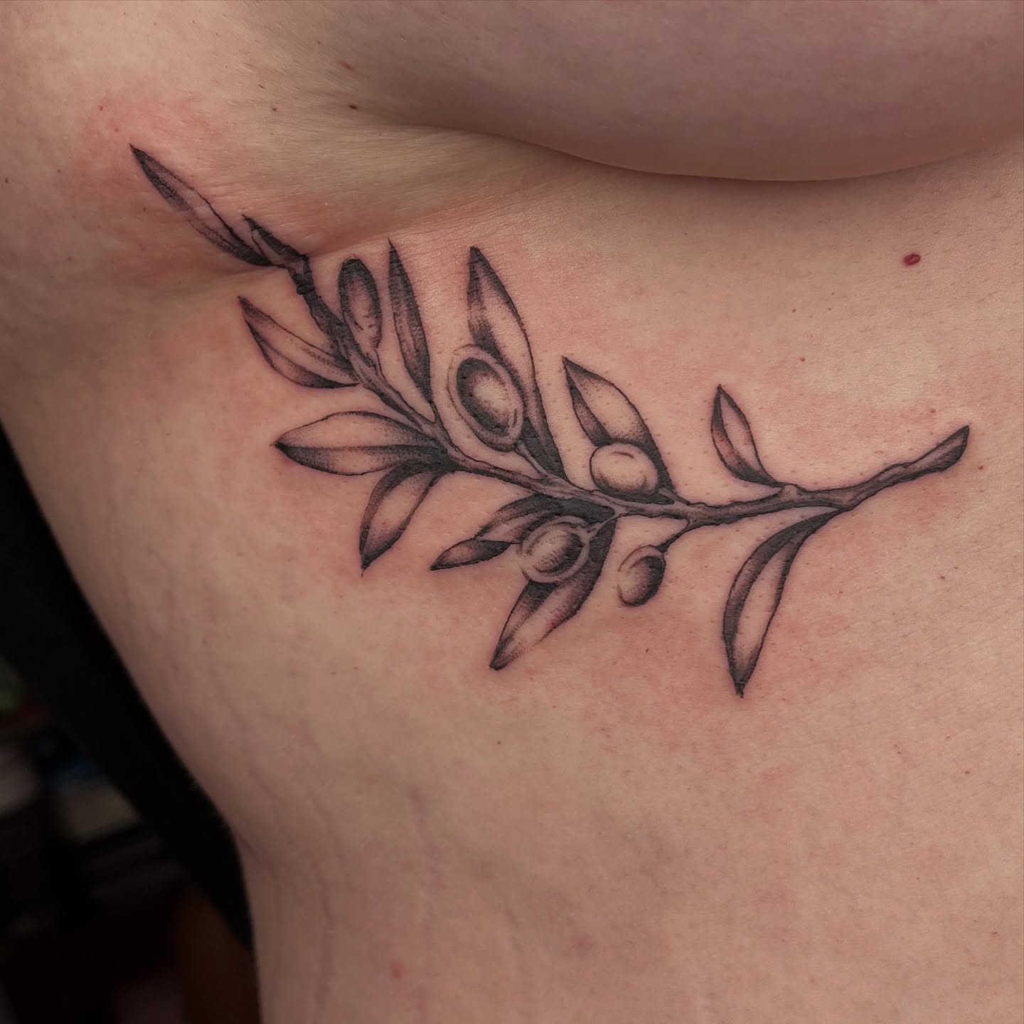 Olive branch black and grey tattoo on the ribs by ✨ Chris ✨