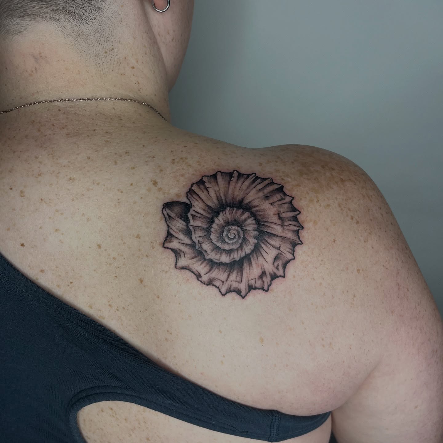 Nautilus shell black and grey tattoo on the shoulder by ✨ Chris ✨