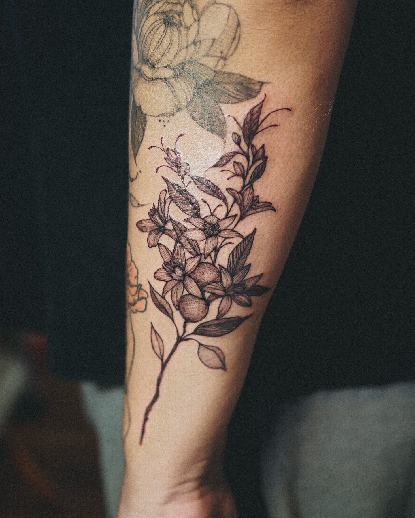 Botanical black and grey tattoo on the forearm by Inks by Nastia