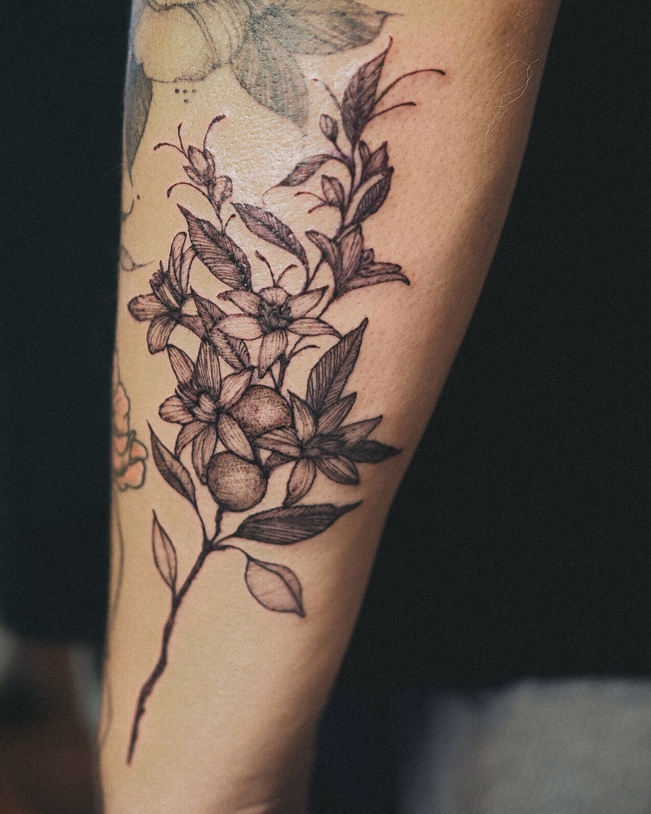 Flower and fruit branch black and grey tattoo on the forearm by Inks by Nastia