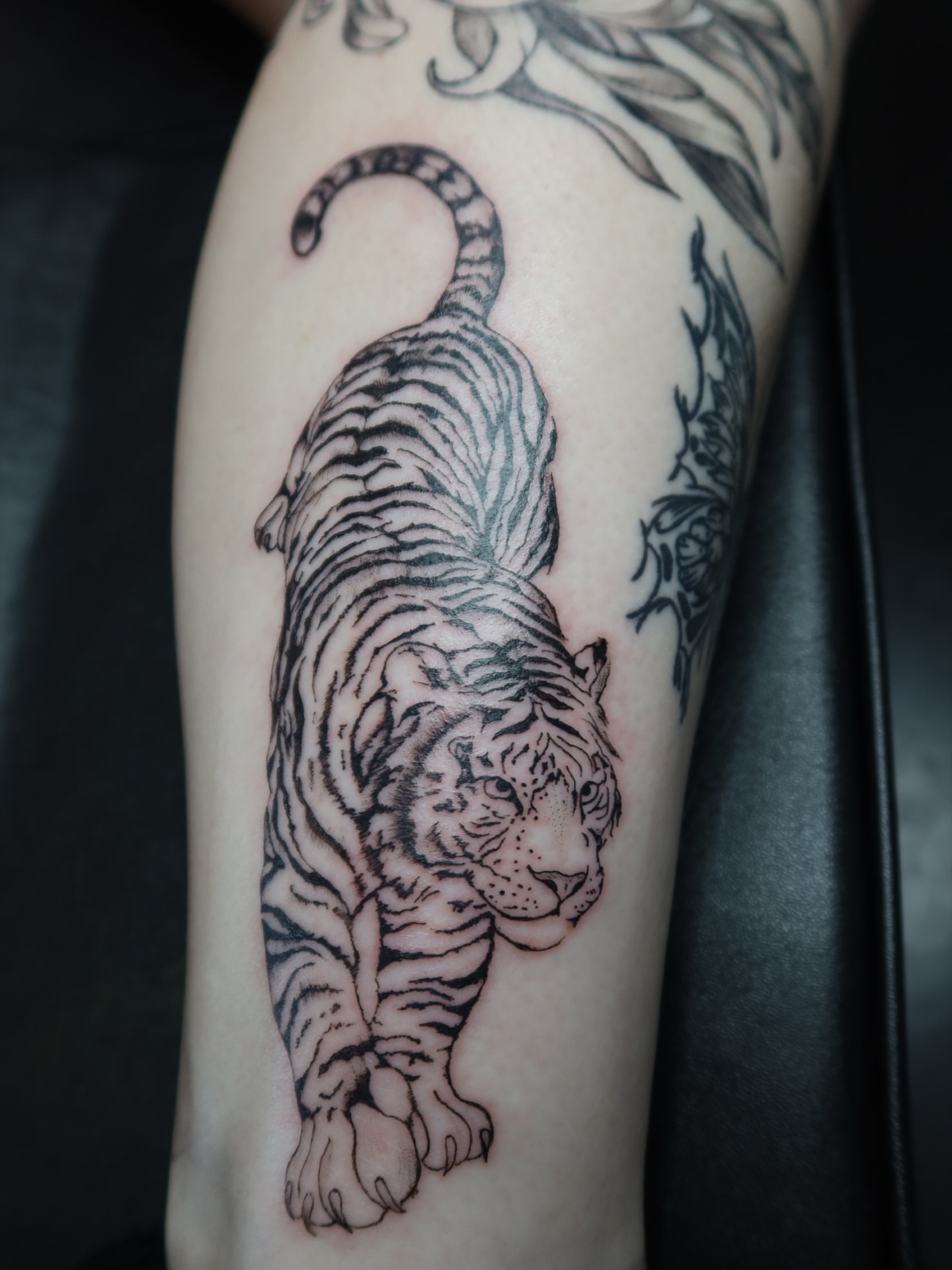 Tiger realism tattoo on the forearm by sierra 💌⛓️