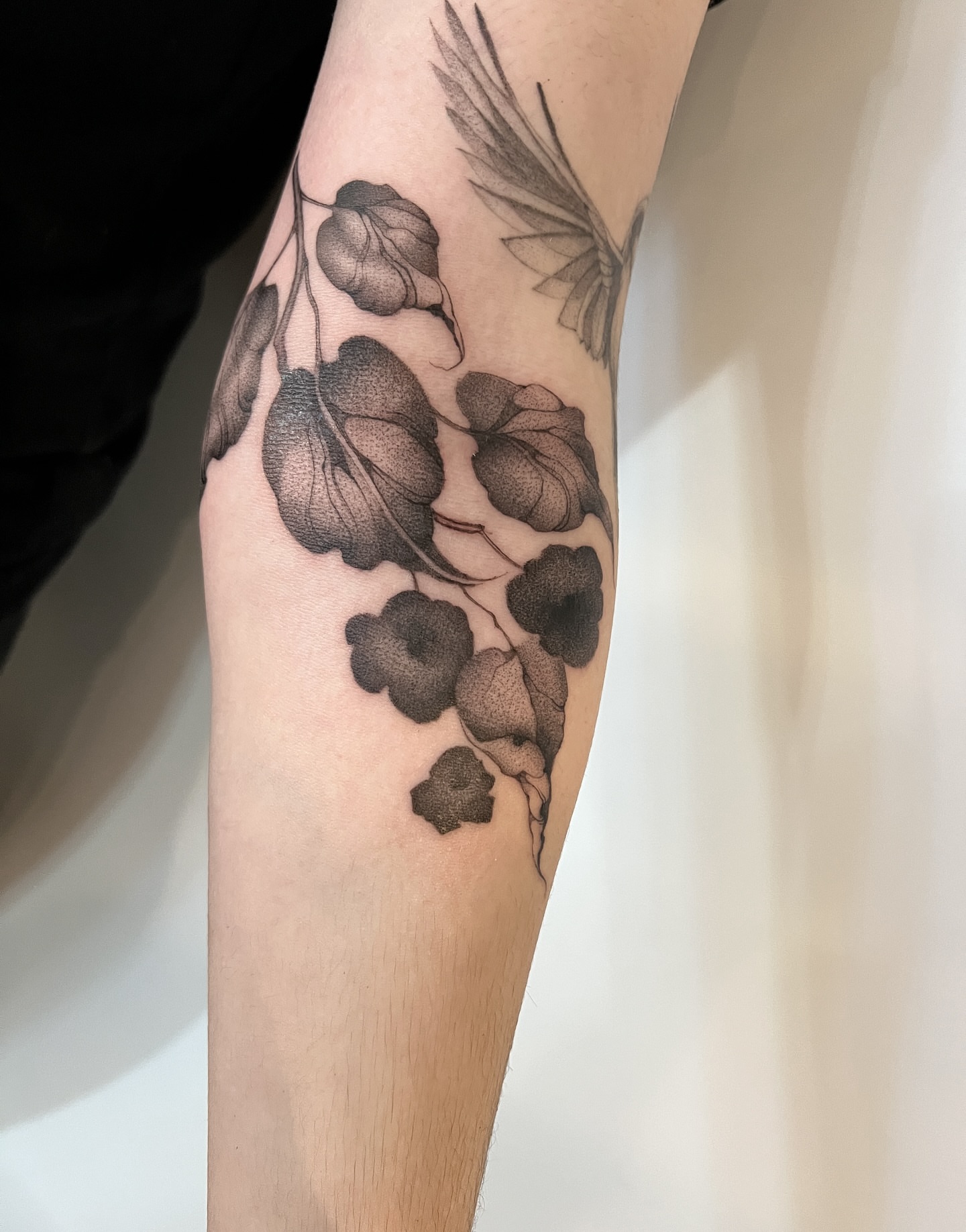 Flowers black and grey tattoo on the forearm by 𝑱𝒖𝒍𝒊𝒂𝒏𝒏𝒂 𝑴𝒆𝒏𝒏𝒂✥𝑷𝒉𝒊𝒍𝒂𝒅𝒆𝒍𝒑𝒉𝒊𝒂✥𝑩𝒍𝒂𝒄𝒌 𝒂𝒏𝒅 𝑮𝒓𝒂𝒚