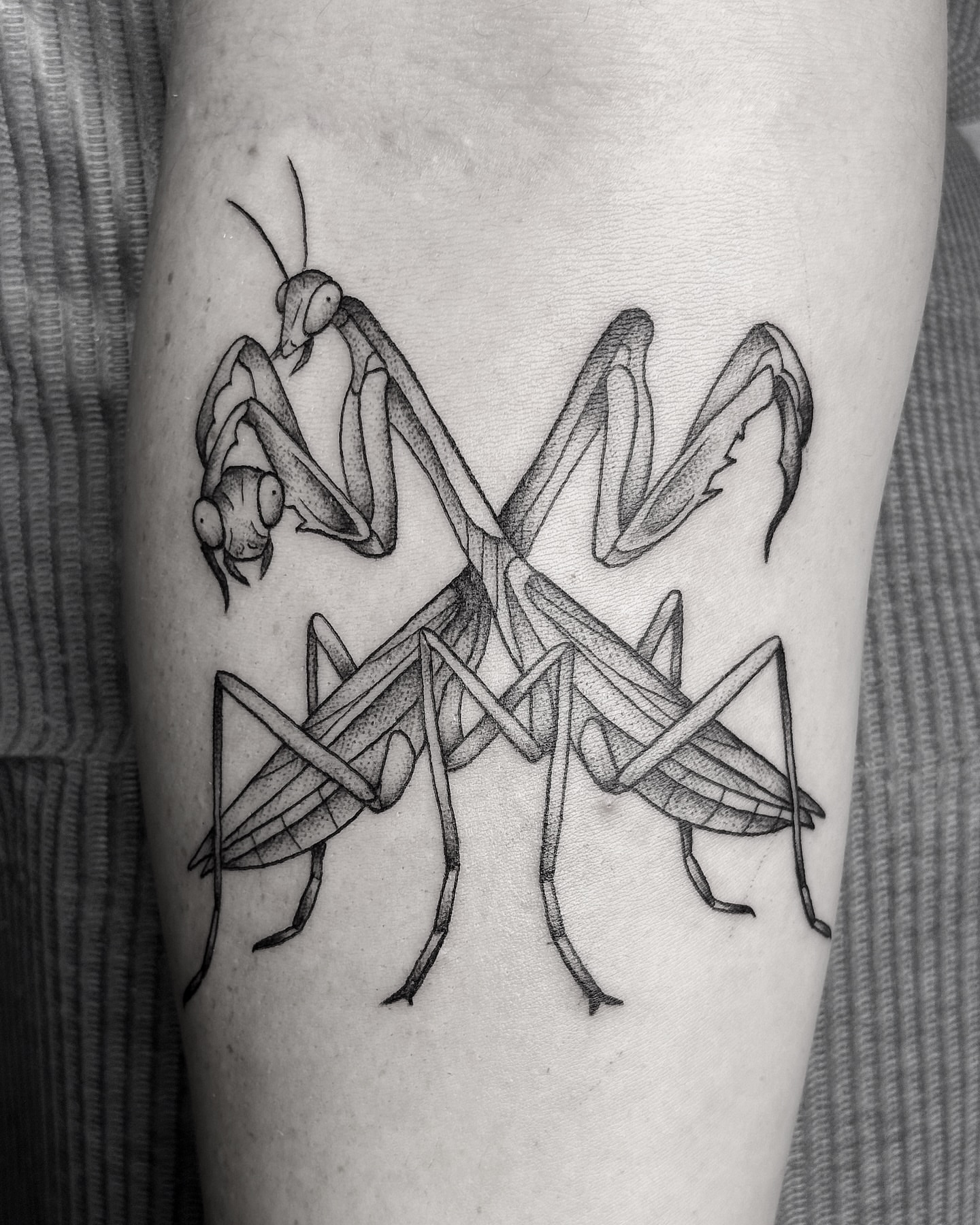 Praying mantis black and grey tattoo on the forearm by Breezy Tucker