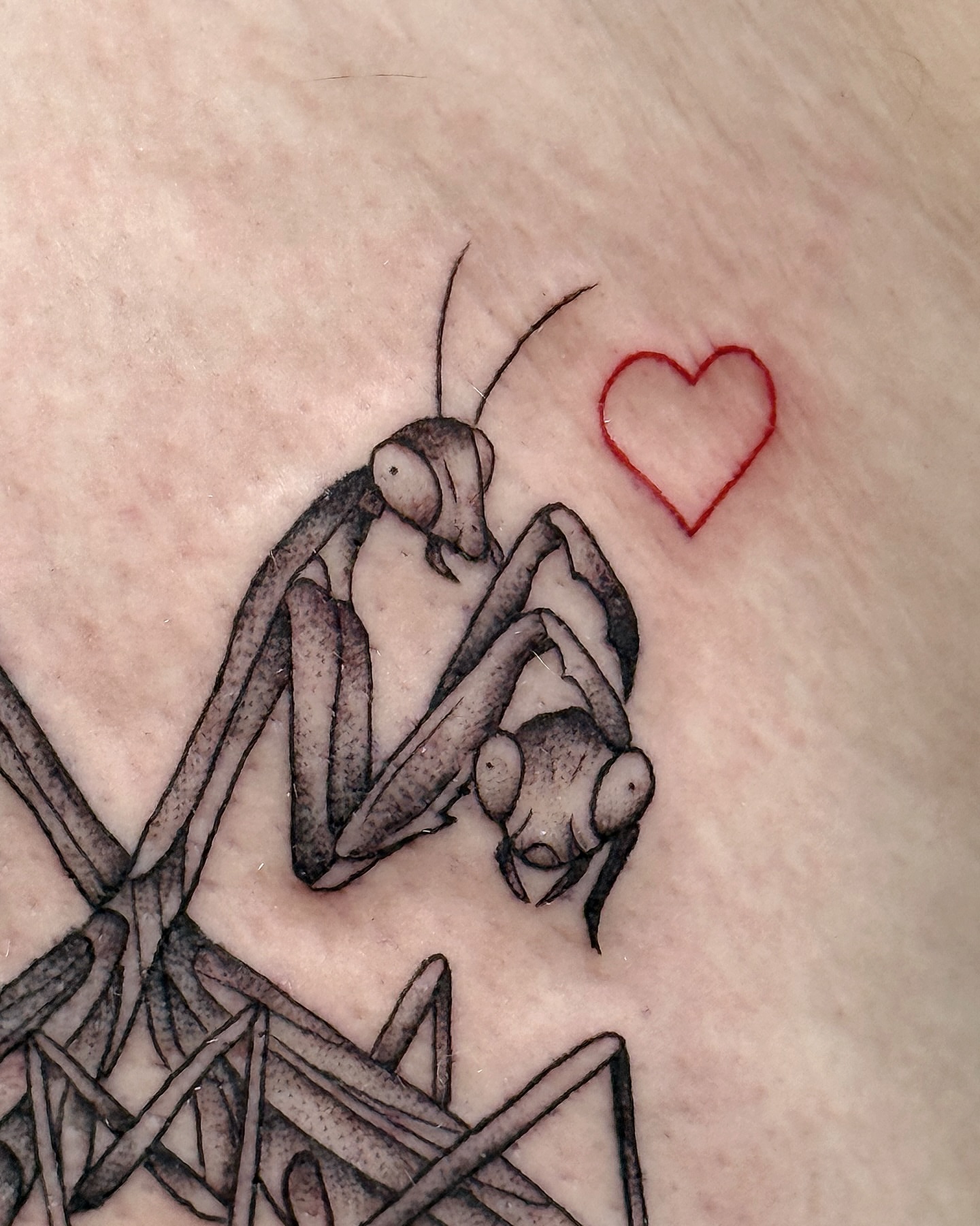 Praying mantis realism tattoo on the thigh by Breezy Tucker