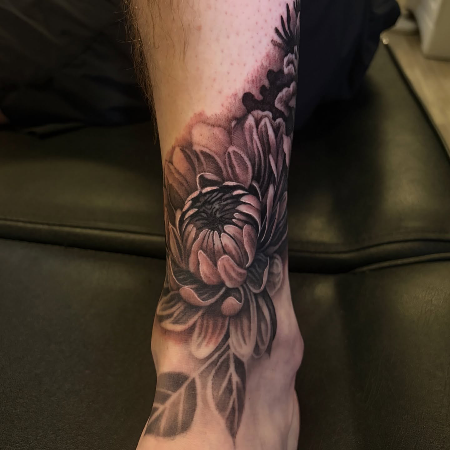 Chrysanthemum black and grey tattoo on the forearm by Zachary Hayden