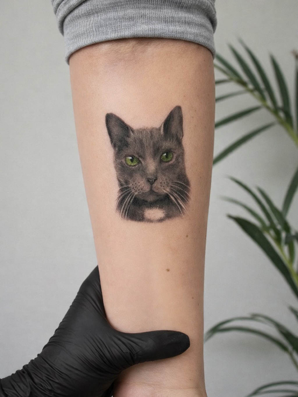 Cat portrait realism tattoo on the forearm by Lina Valentina, New York, New York