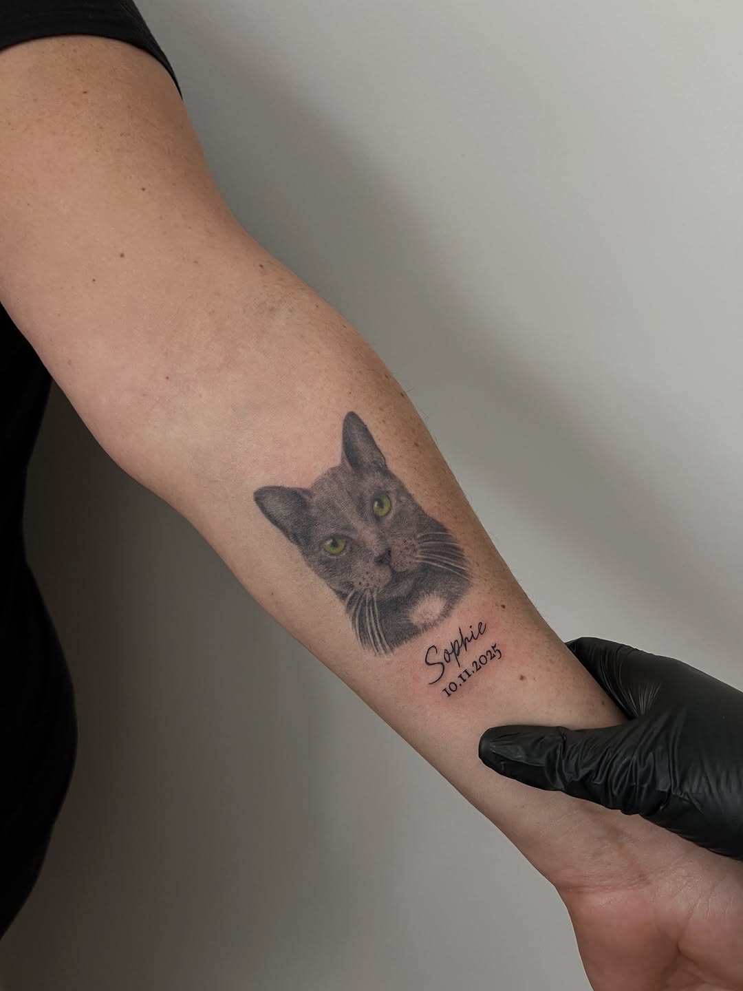 Cat portrait with name and date realism tattoo on the forearm by Lina Valentina, New York, New York