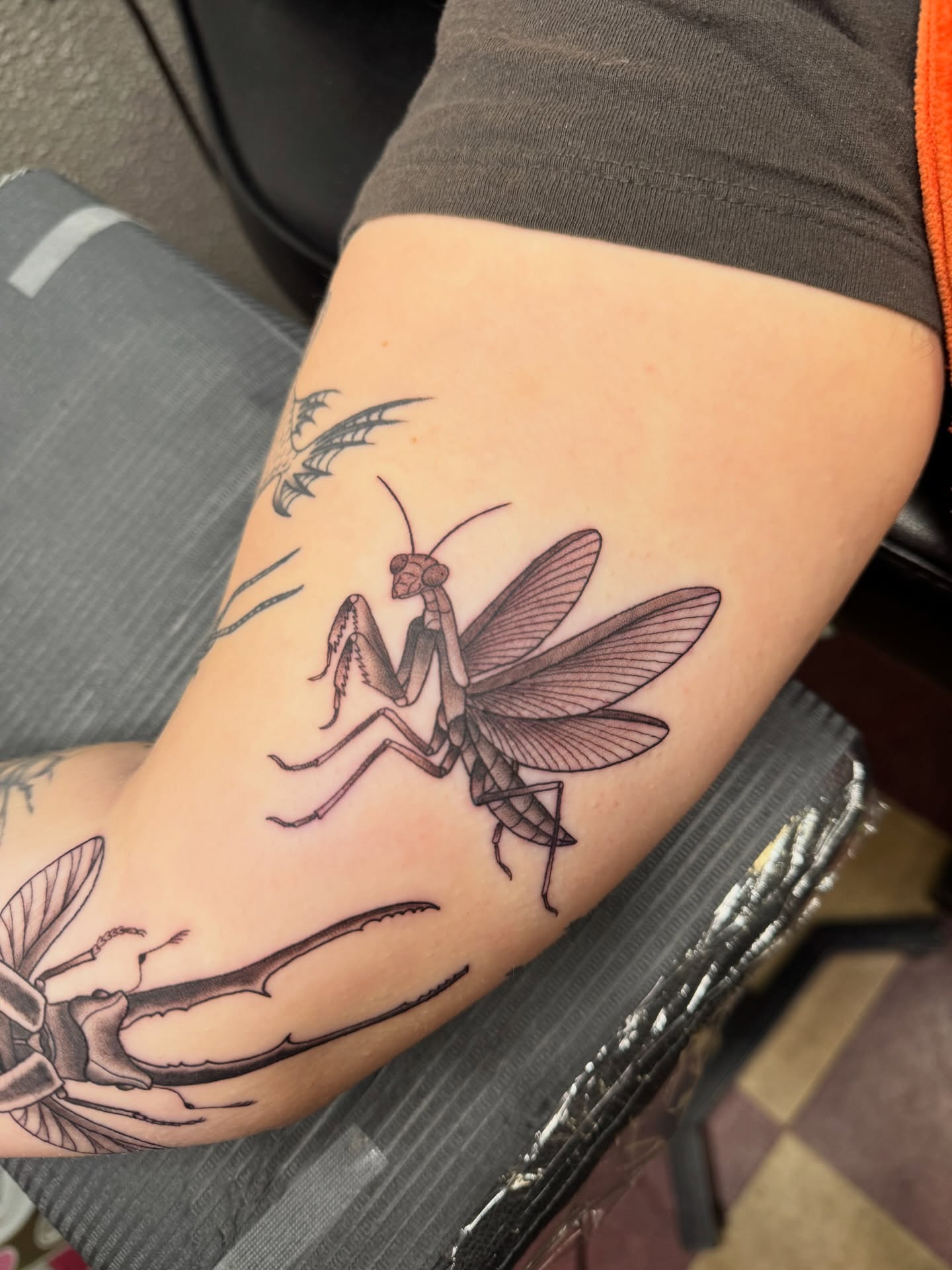 Praying mantis black and grey tattoo on the forearm by Cora Phelps