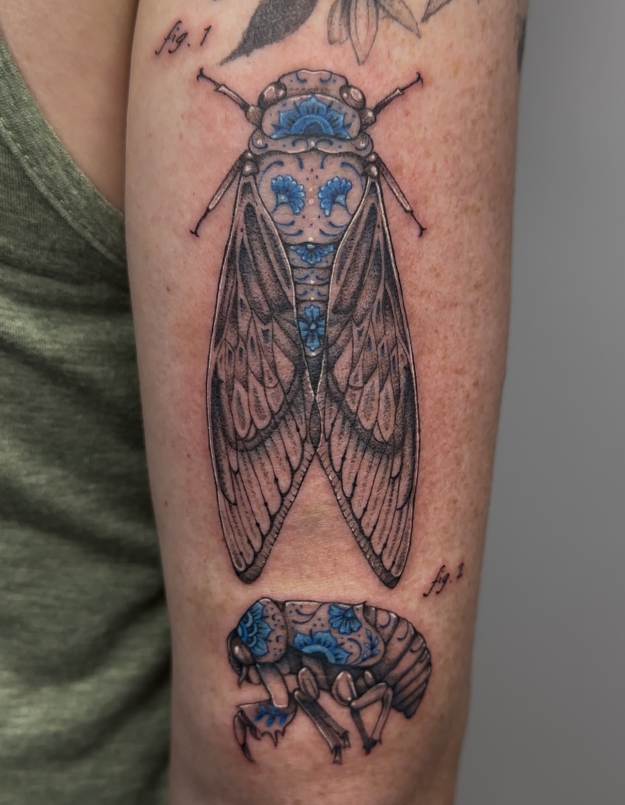 Cicada realism tattoo on the forearm by PenumbRaeTattoo