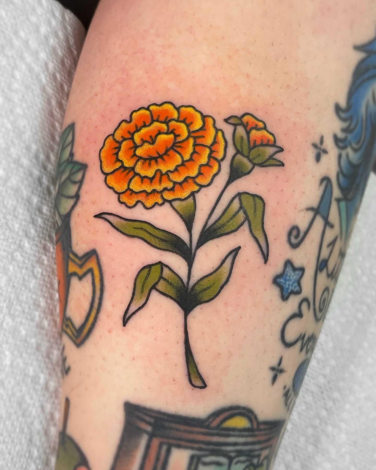 Marigold flower American traditional tattoo on the forearm by 𝕬𝖓𝖆𝖇𝖊𝖑𝖑 𝕸𝖔𝖗𝖔