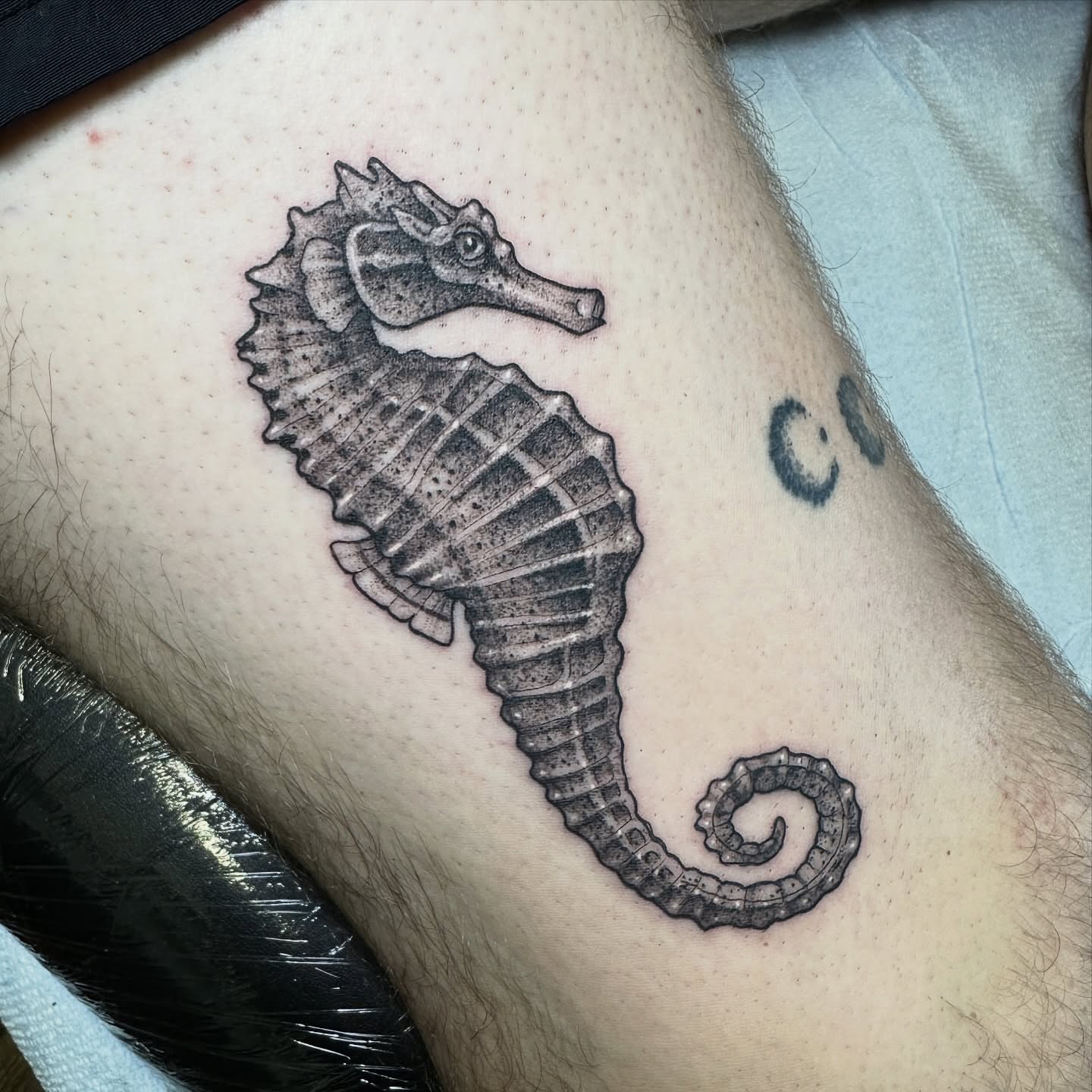 Seahorse black and grey tattoo on the forearm by Robert McCollum