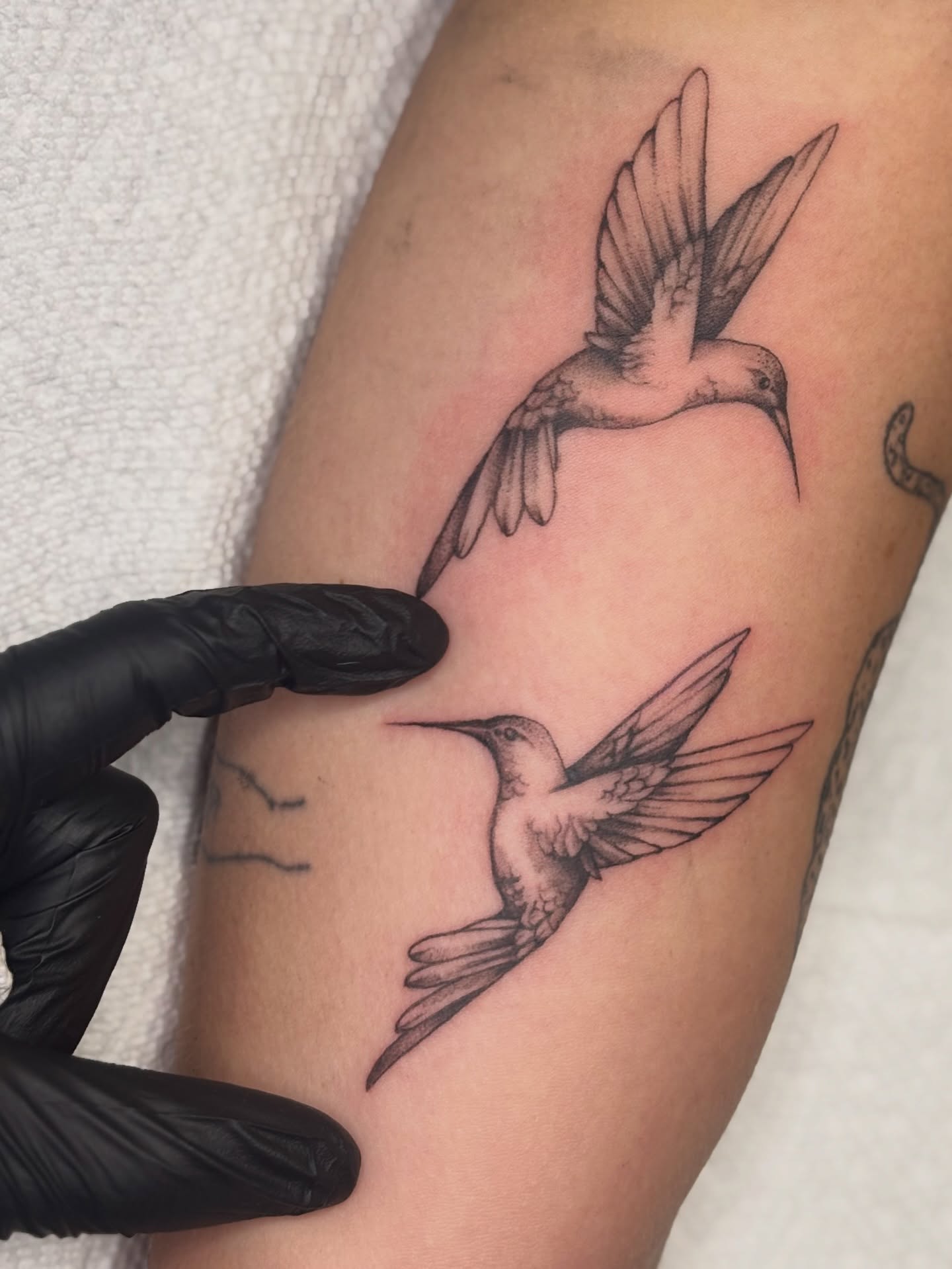 Hummingbirds black and grey tattoo on the forearm by MJ Saunders