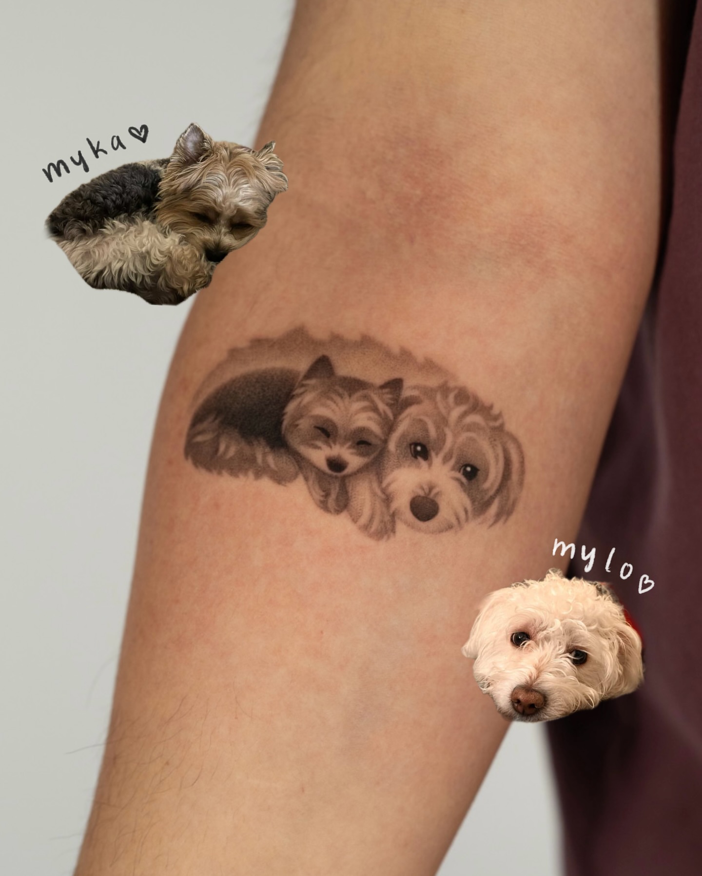 Tattoo by @toki.tattoos — realism