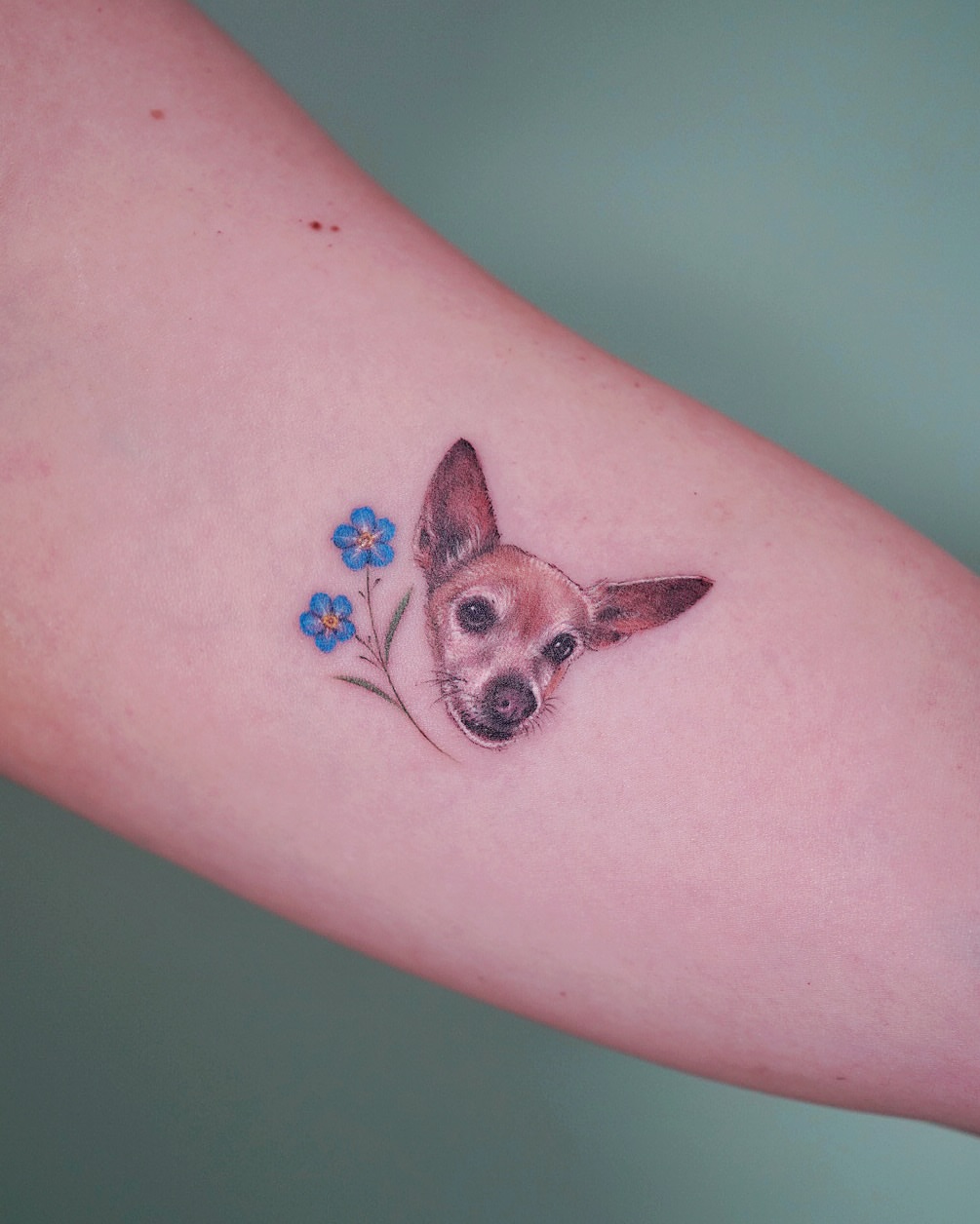 Dog with flowers realism tattoo on the forearm by Lily, Los Angeles, California