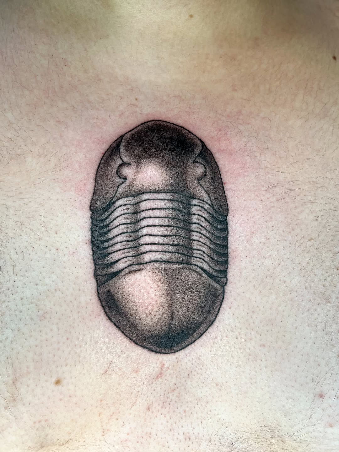Tattoo by @paydawg365 — black_and_grey, realism