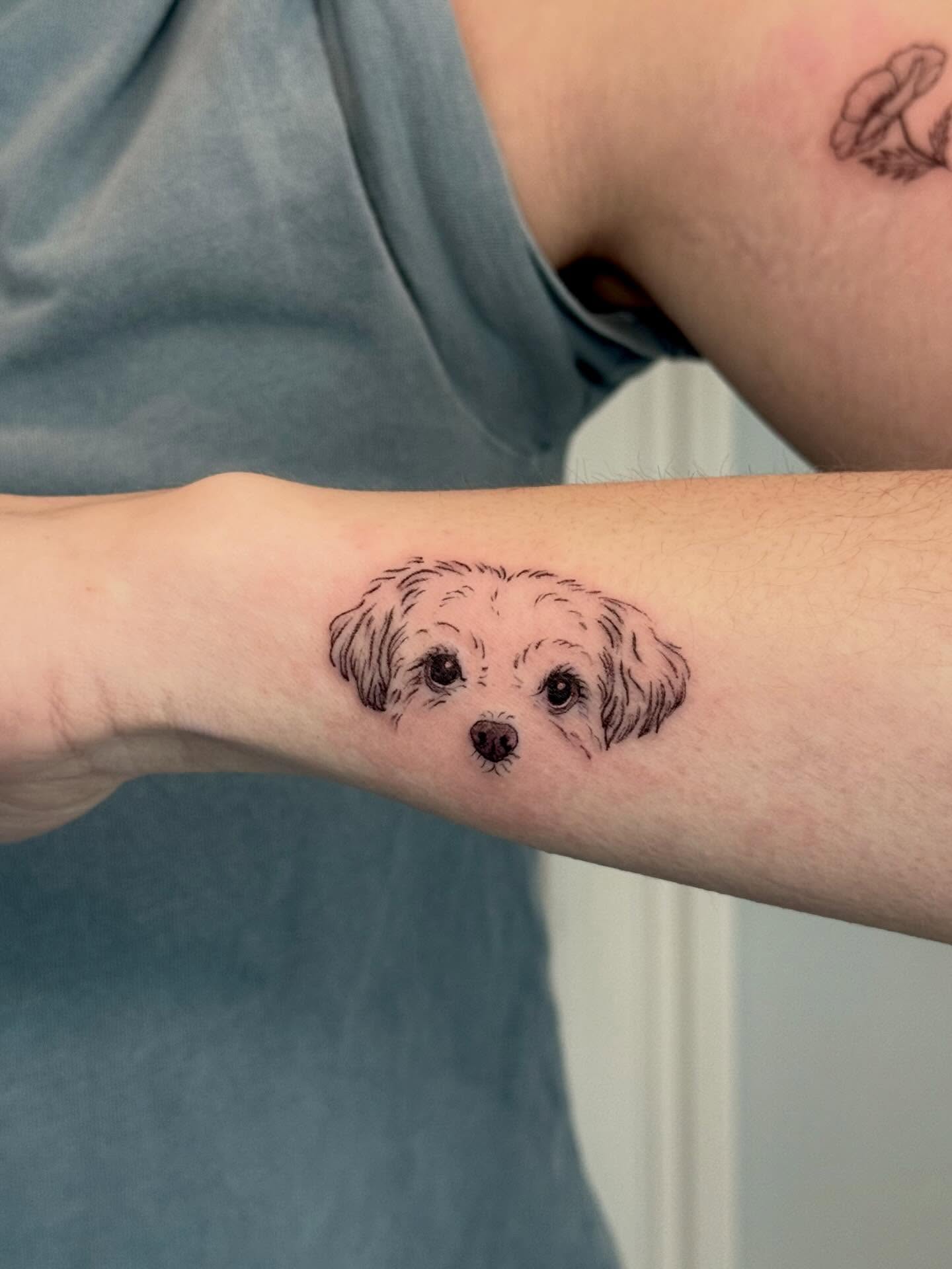 Dog realism tattoo on the forearm by Ana Blatt