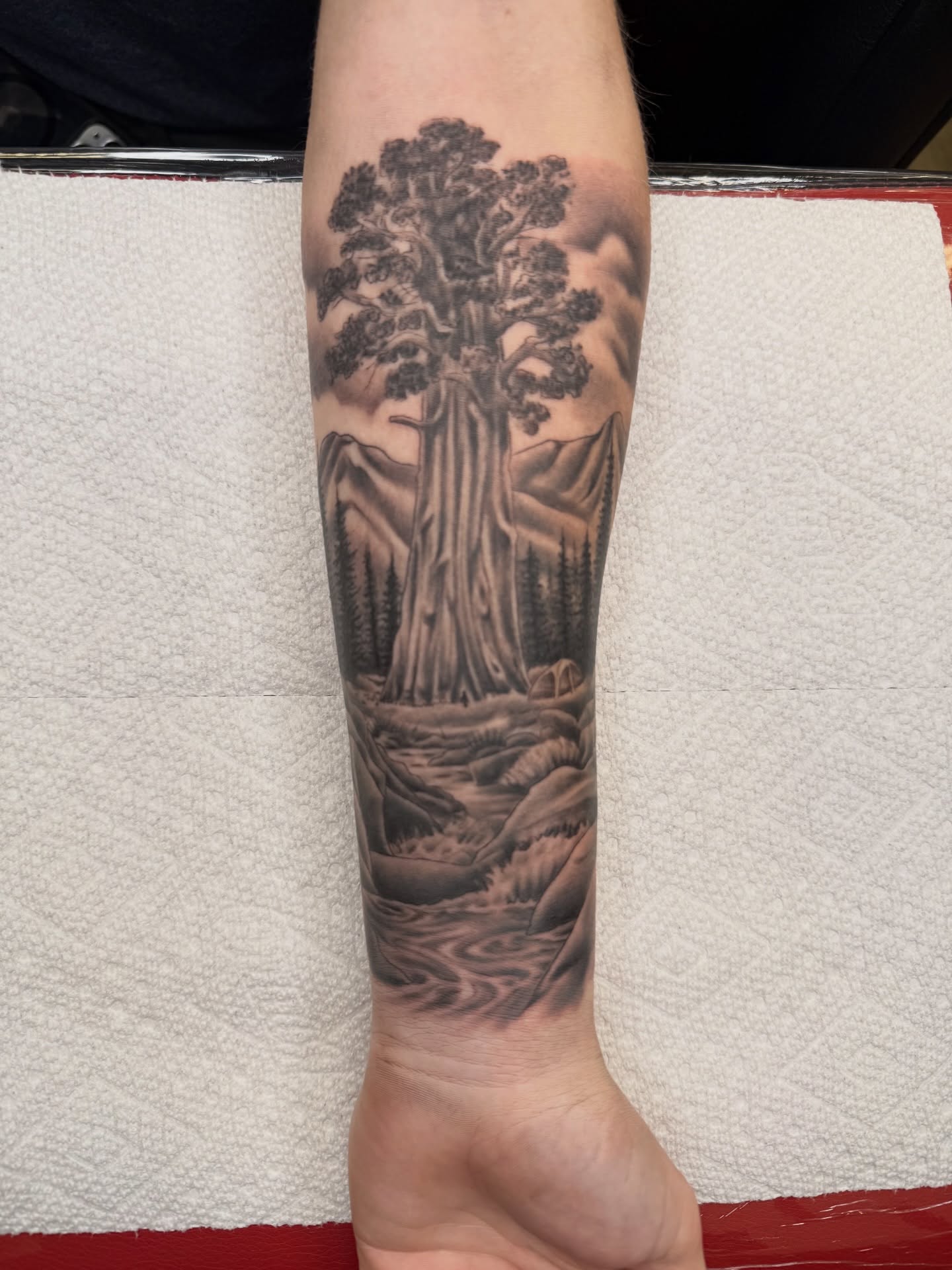 Forest landscape realism tattoo on the forearm by Ricky Sanchez, Duncanville, Texas