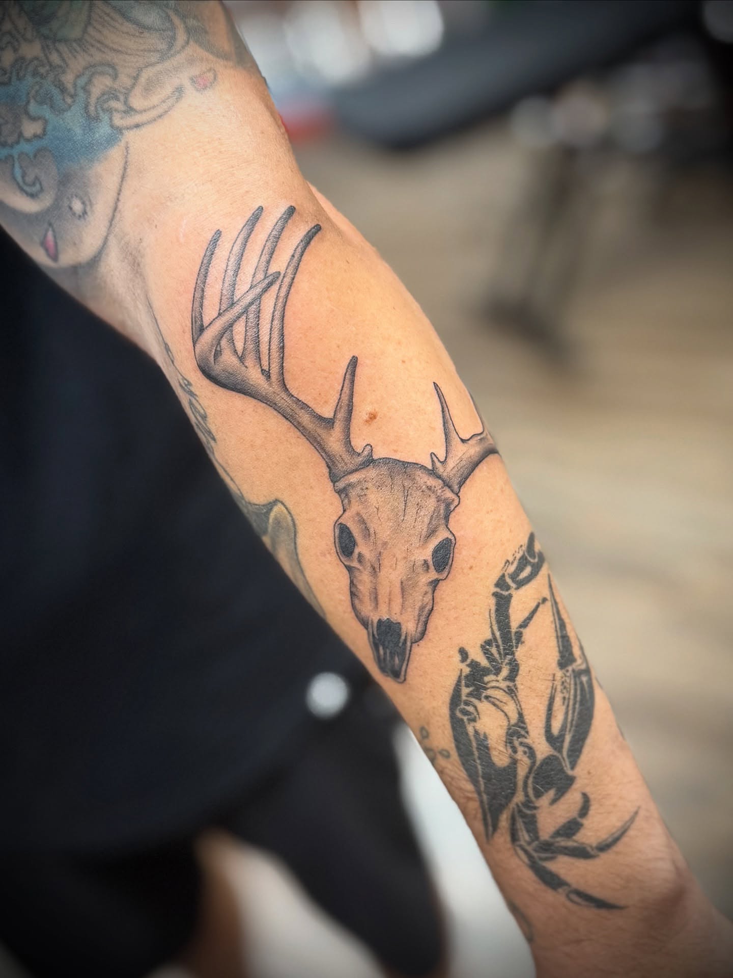Deer skull black and grey tattoo on the forearm by Justin Bianchini - New Orleans Tattoo Artist
