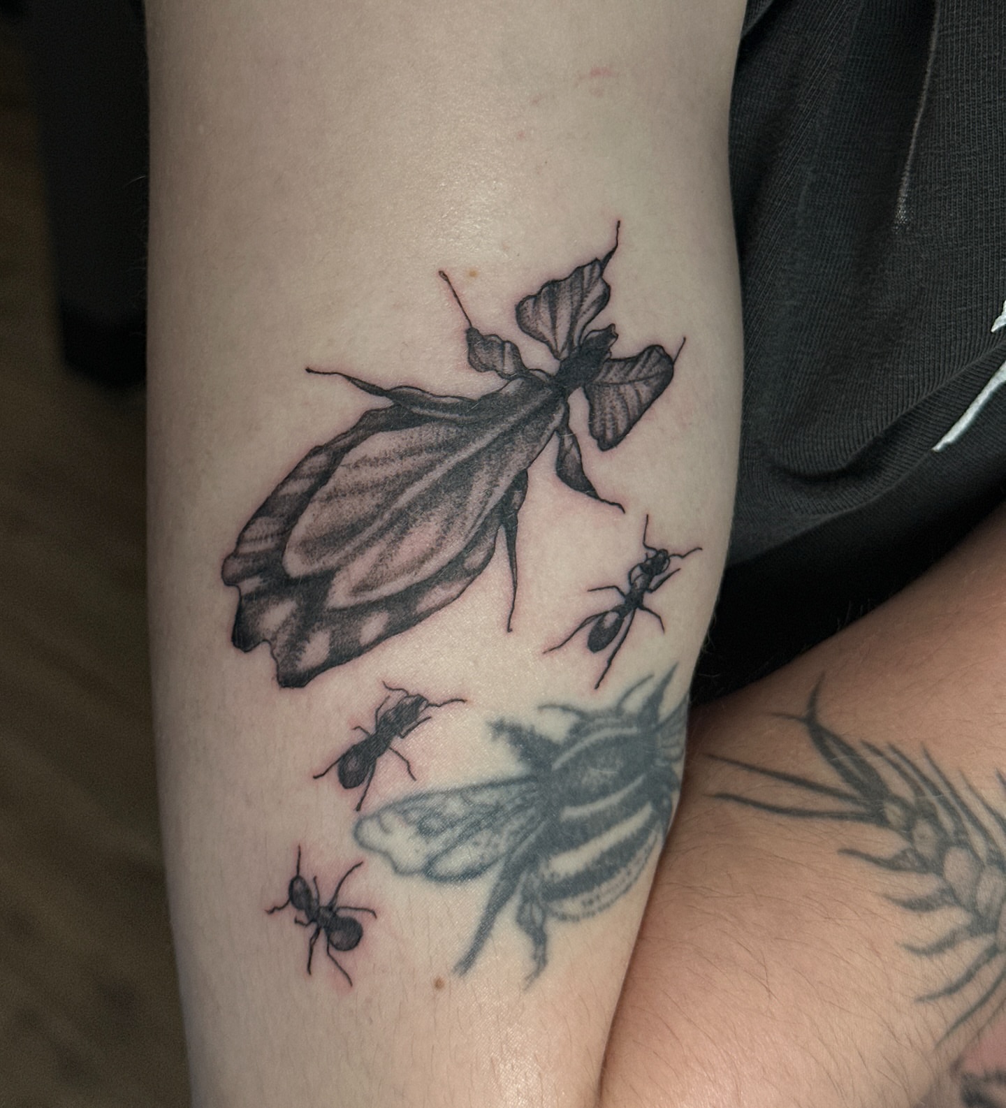 Tattoo by @coldbratpokes — black_and_grey