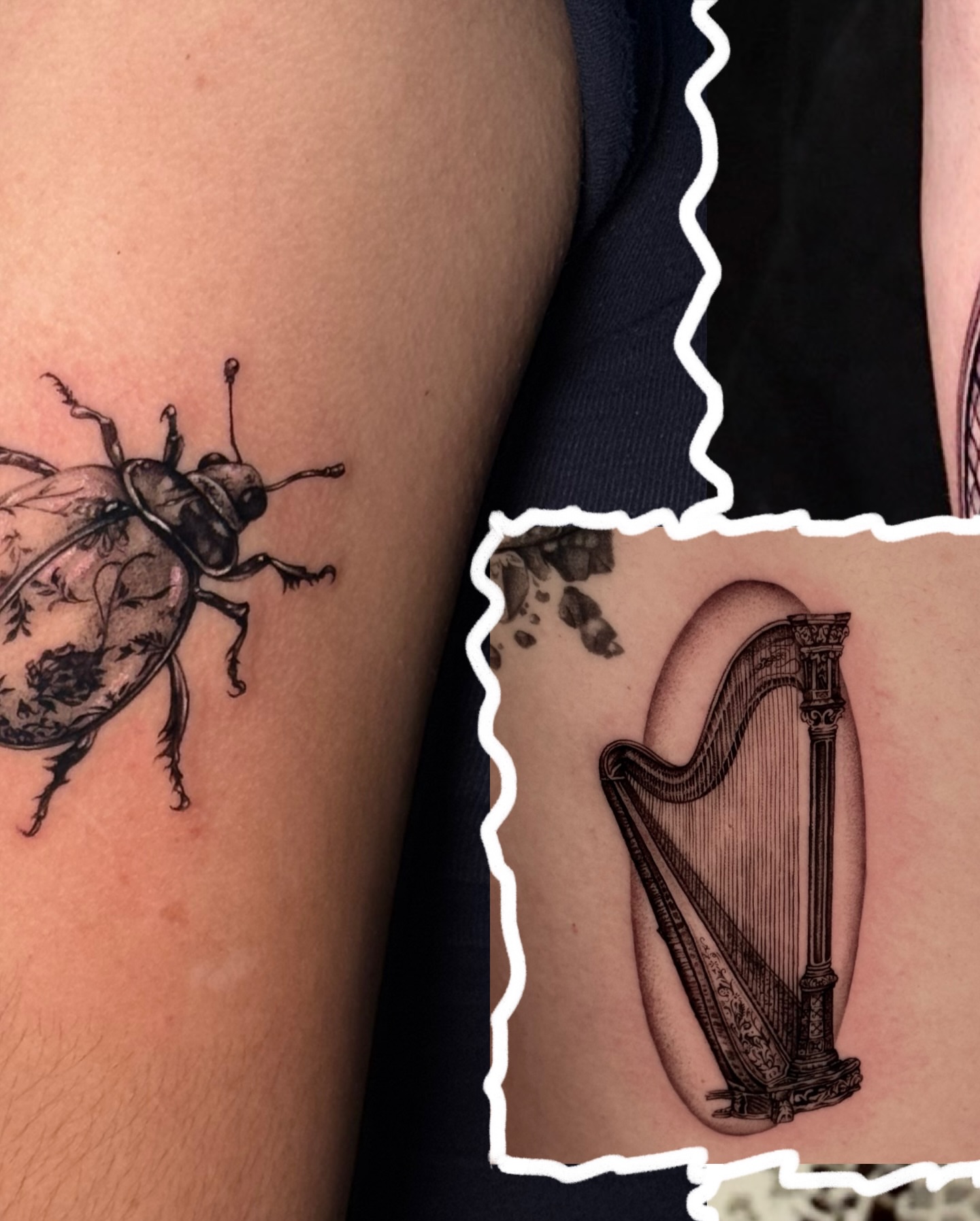 Beetle black and grey tattoo on the upper arm by Tiny
