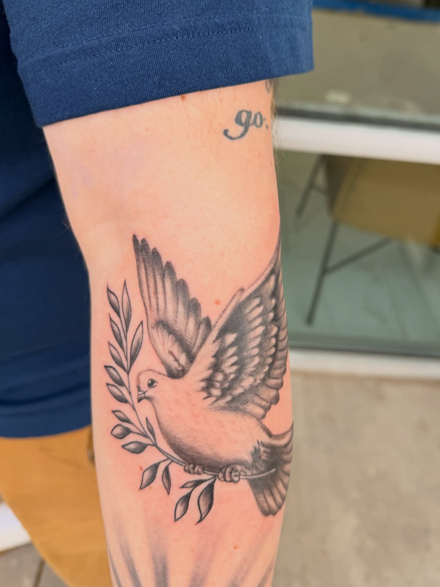 Dove black and grey tattoo on the forearm by Lexi Odam