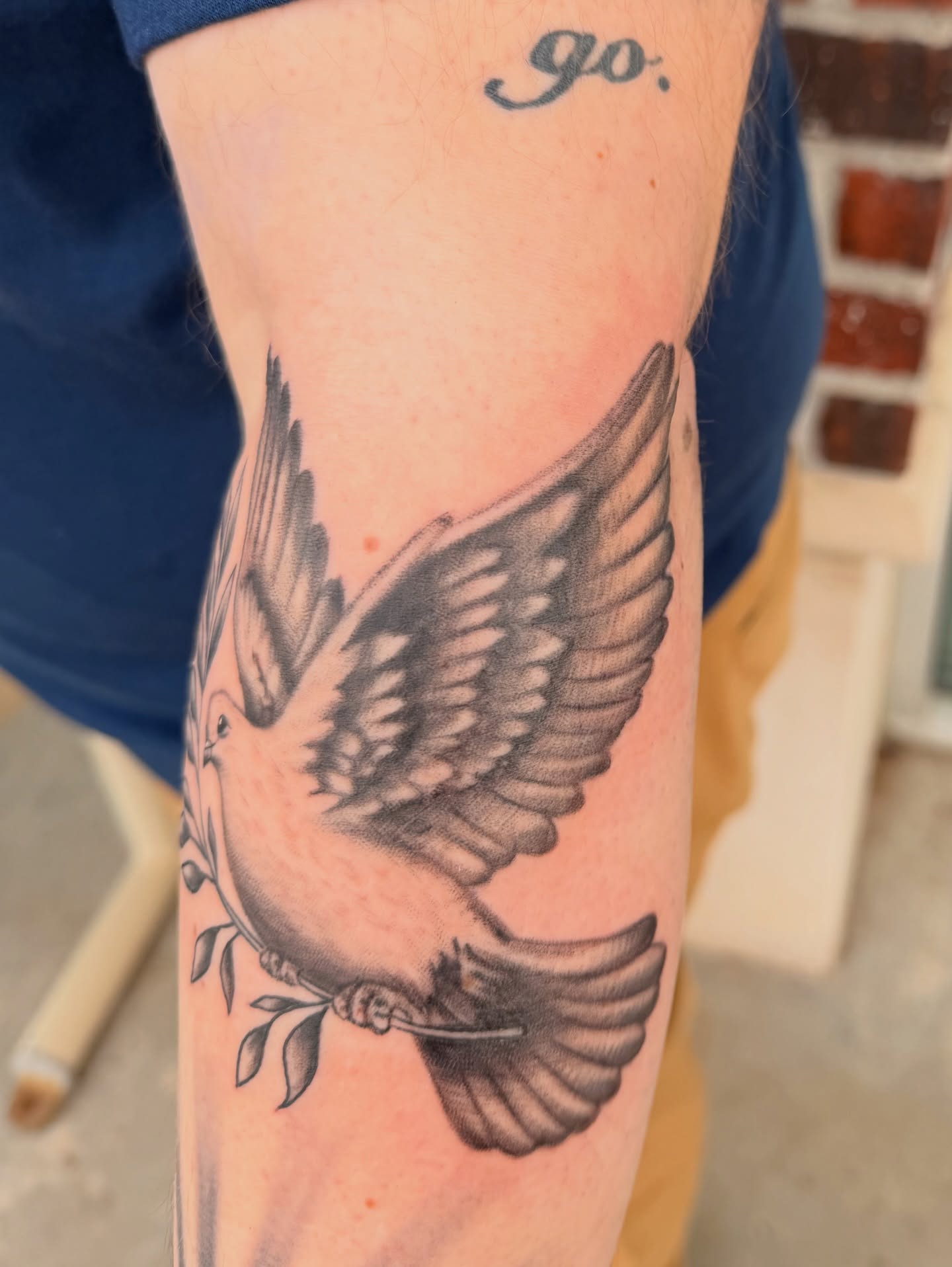 Dove black and grey tattoo on the forearm by Lexi Odam