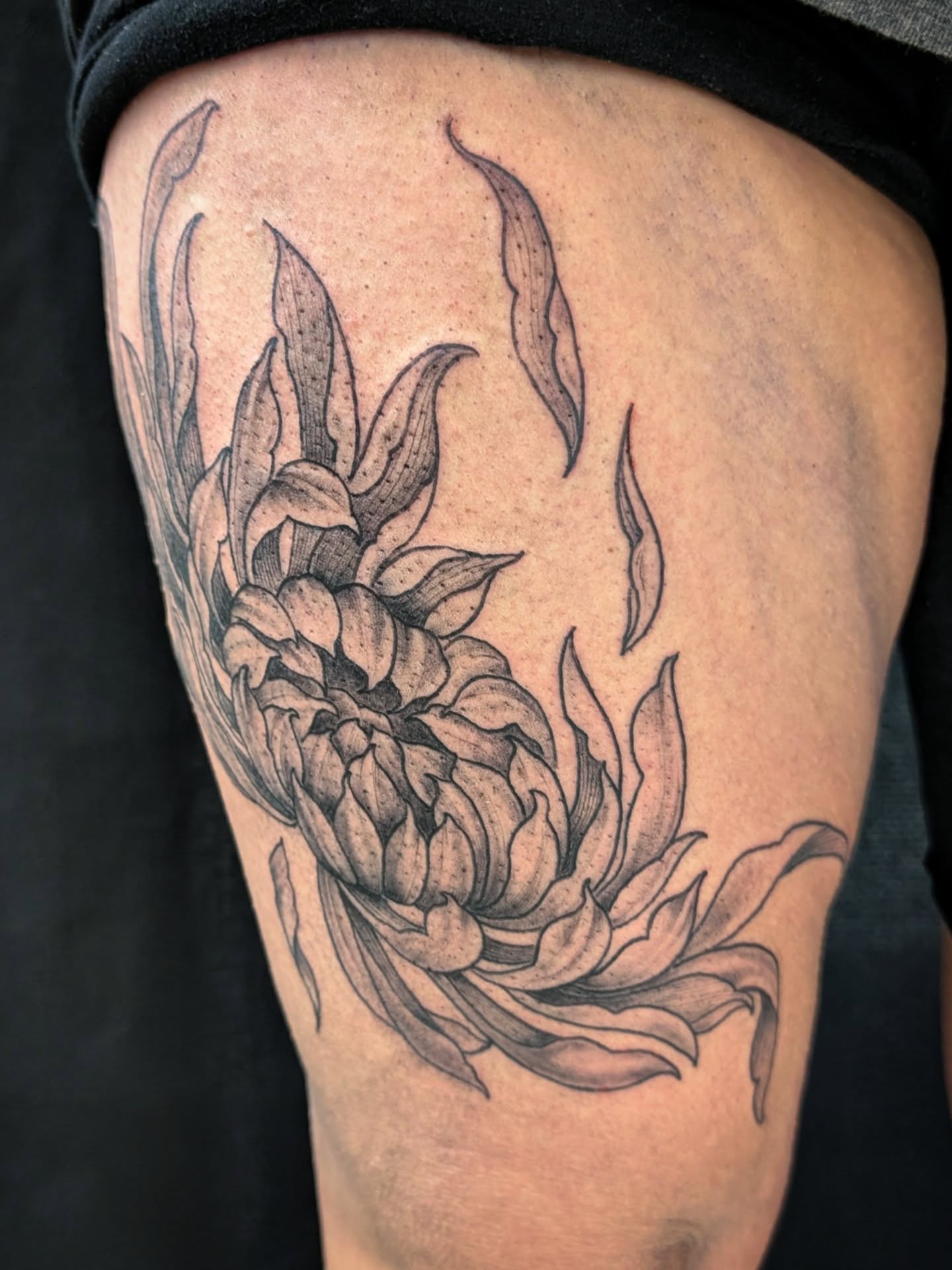 Chrysanthemum black and grey tattoo on the thigh by Katherine