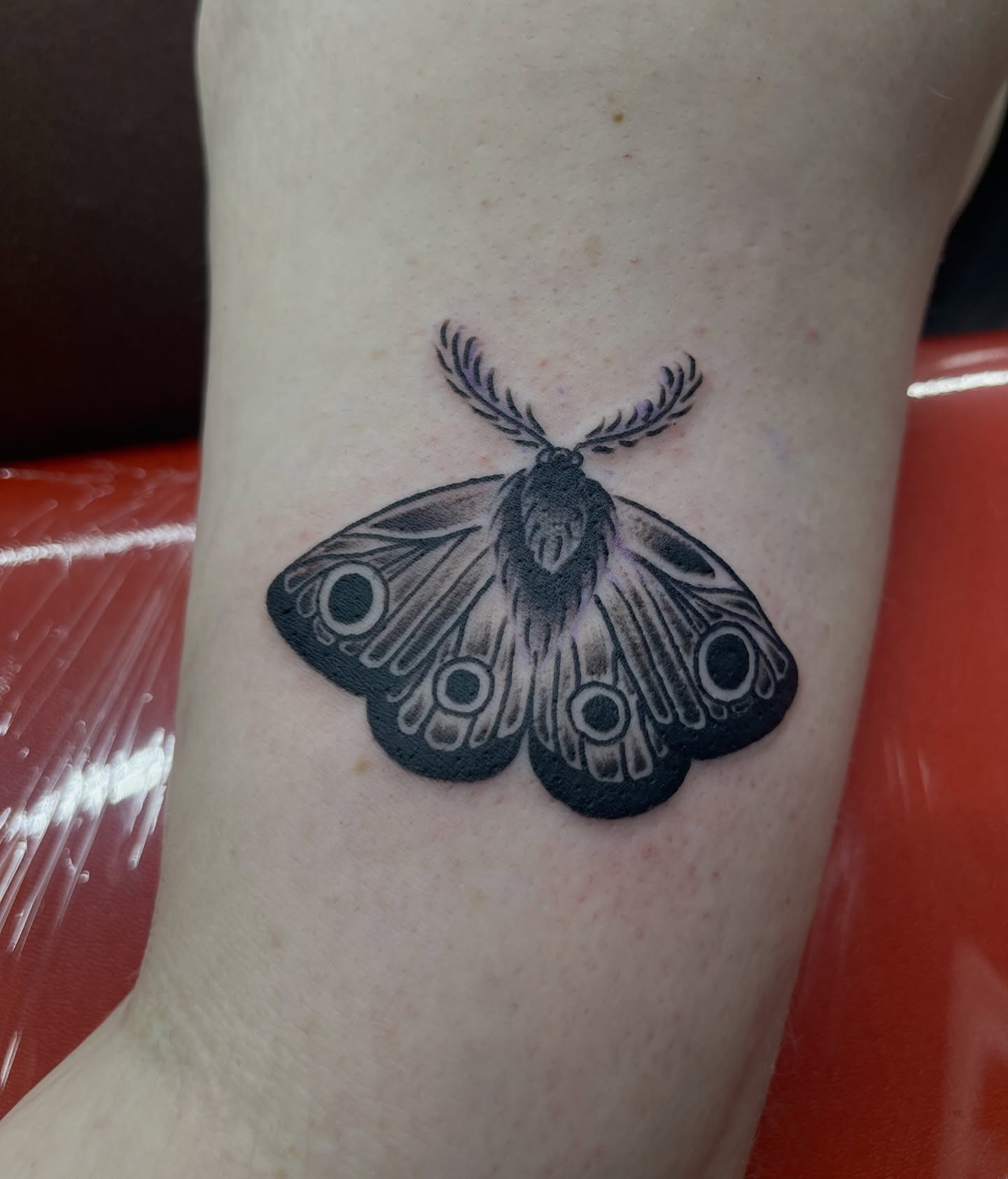 Moth black and grey tattoo on the forearm by Squid