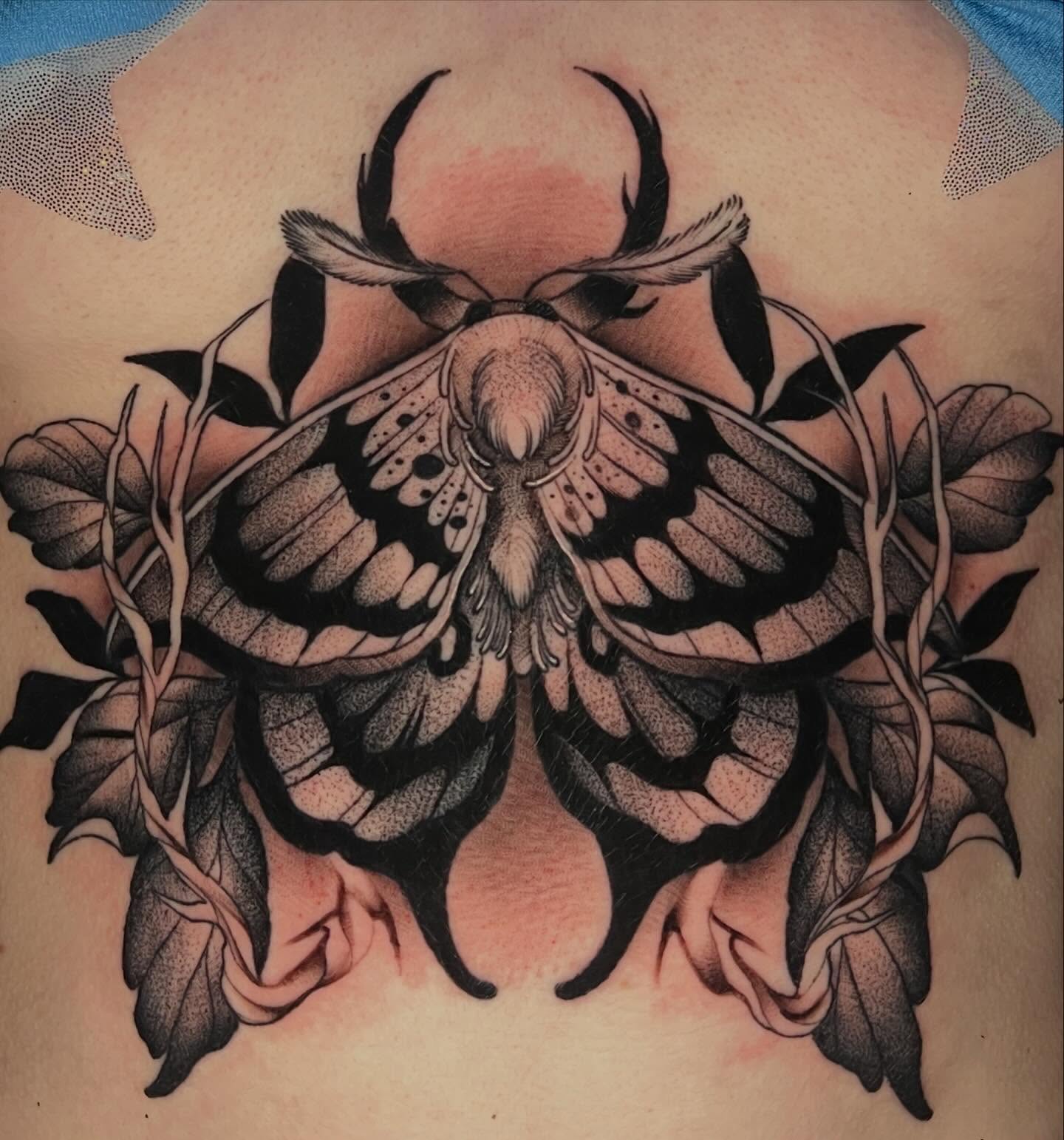 Moth and leaves dotwork tattoo on the back by 🕯Heather🕯