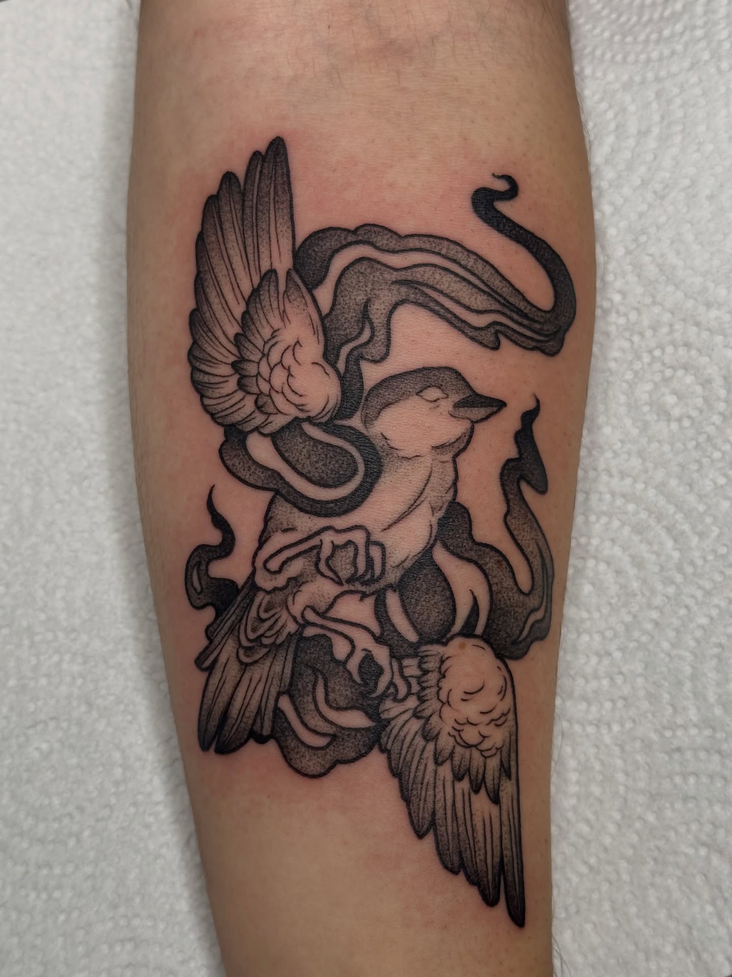Phoenix black and grey tattoo on the forearm by Summer Shield