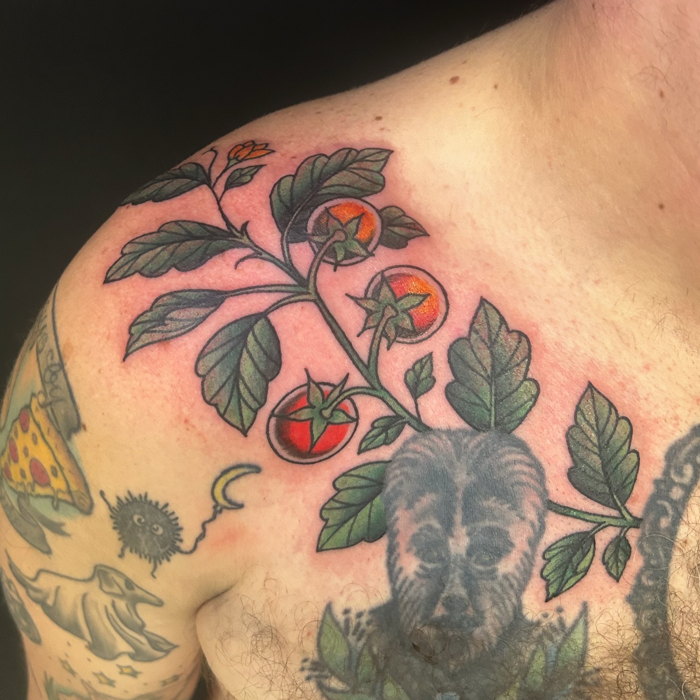 Tomato plant American traditional tattoo on the shoulder by Jessica Oram Brockman, Dayton, Ohio