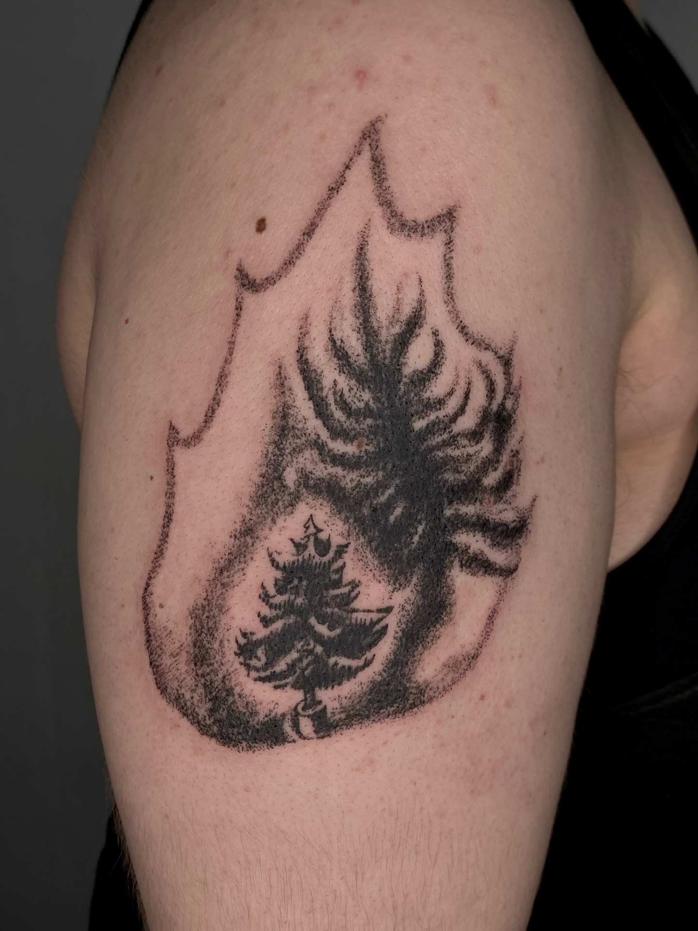 Tattoo by @cowgurl_bebop — dotwork, black_and_grey