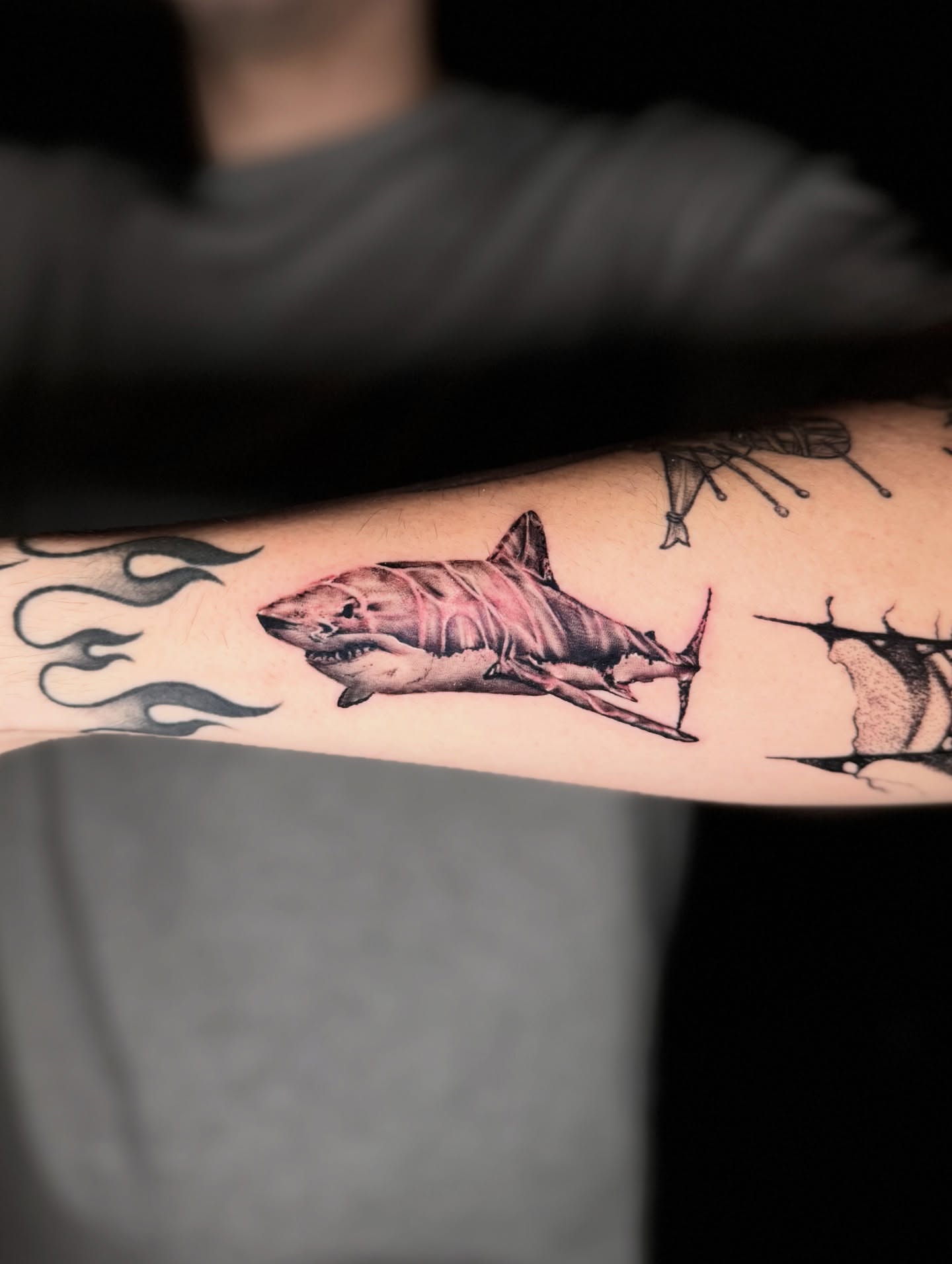 Shark realism tattoo on the forearm by Georgianna Ink, Las Vegas, Nevada