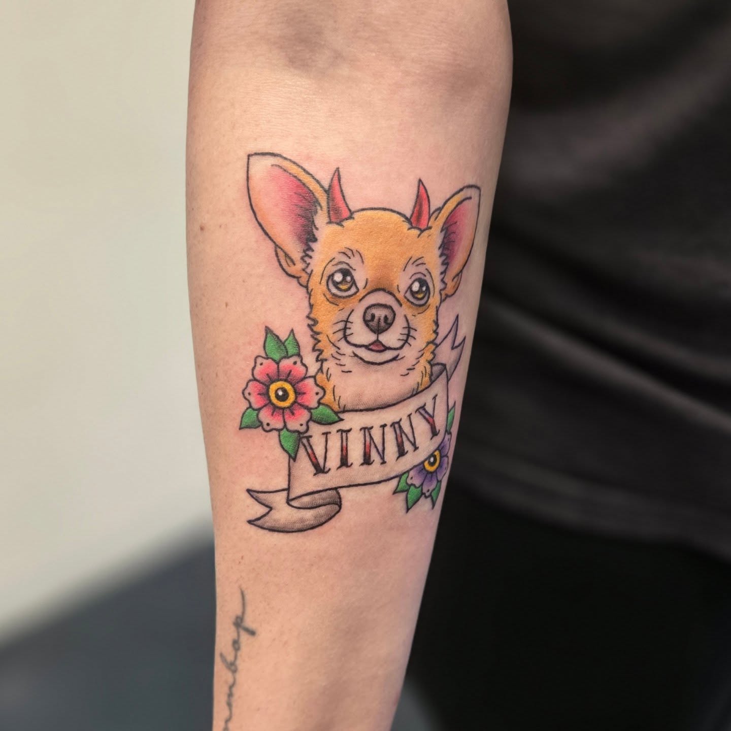 Chihuahua American traditional tattoo on the forearm by Matt Page