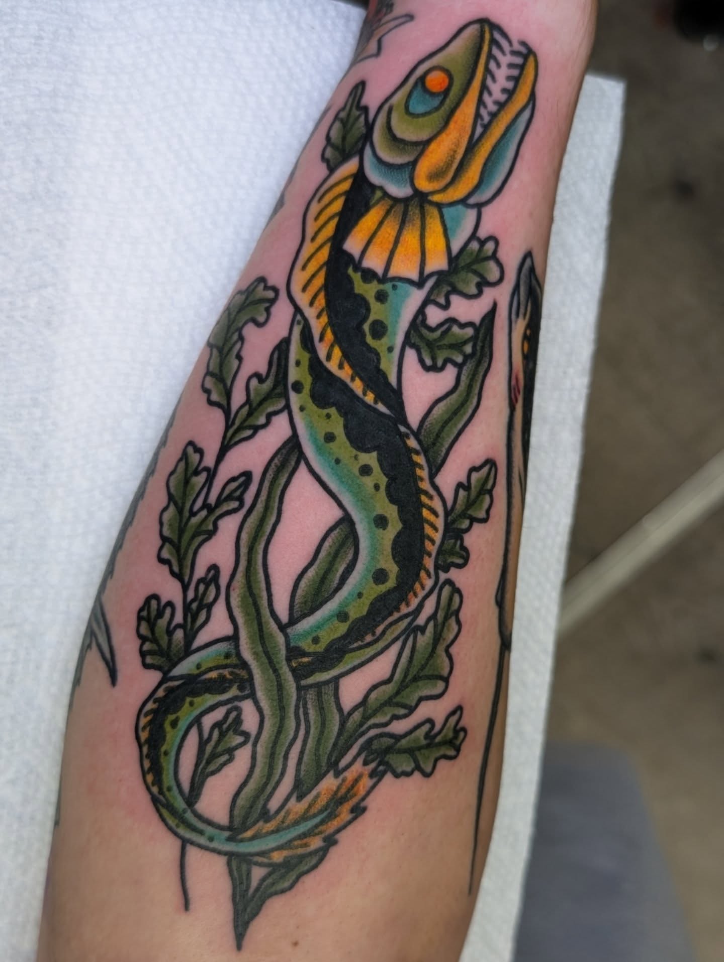 Gecko American traditional tattoo on the forearm by Erik O'Steen, Medford, Massachusetts