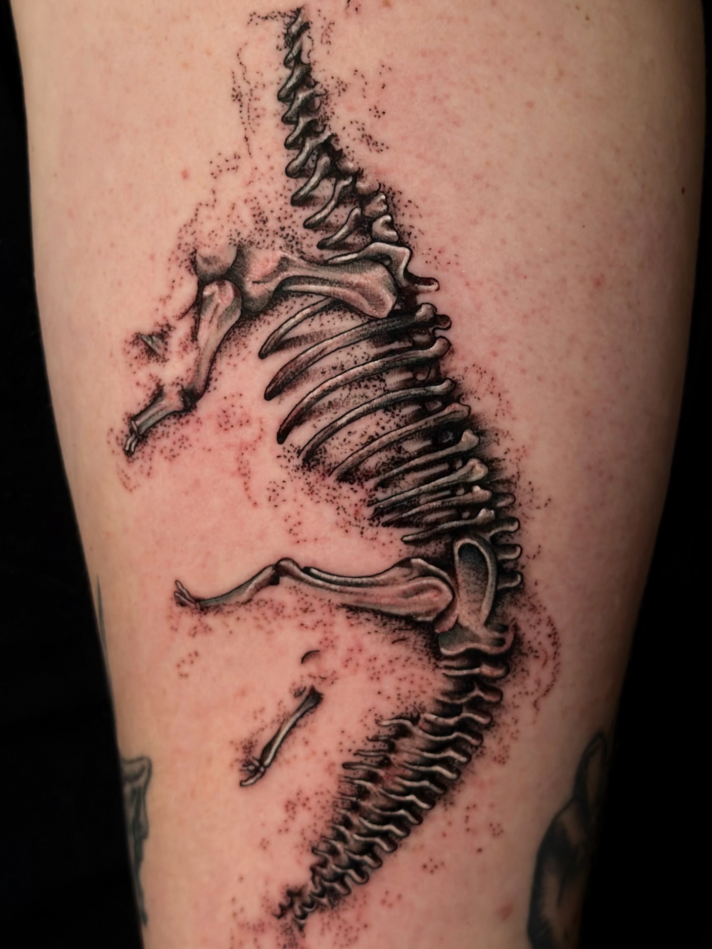 Skeleton black and grey tattoo on the thigh by 𝔐𝔦𝔠𝔥𝔢𝔩𝔩𝔢𝔫 🦇