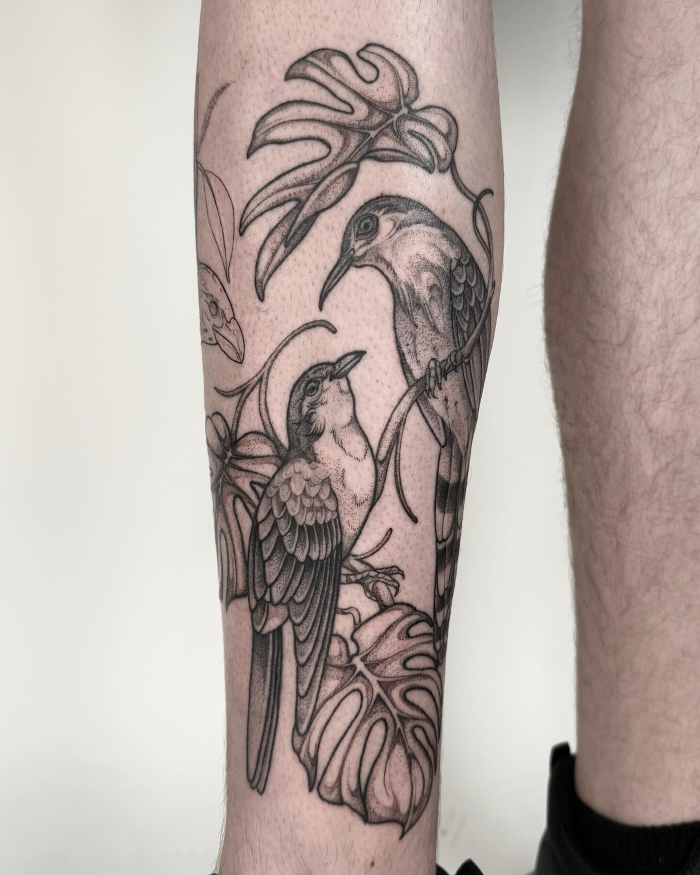 Tattoo by @horsegirltats — dotwork, black_and_grey