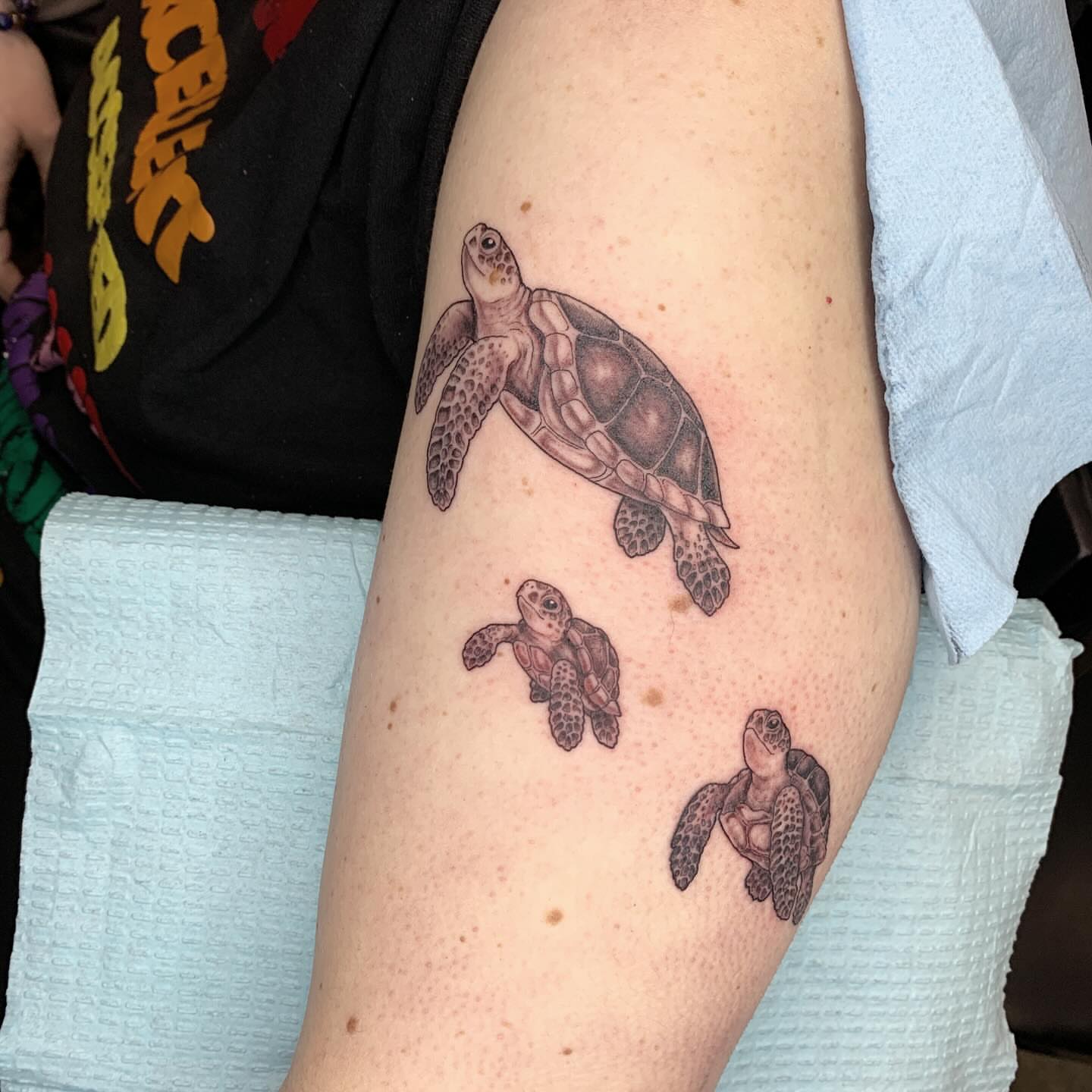 Sea turtles realism tattoo on the forearm by Kitty Jones, Berkeley, California