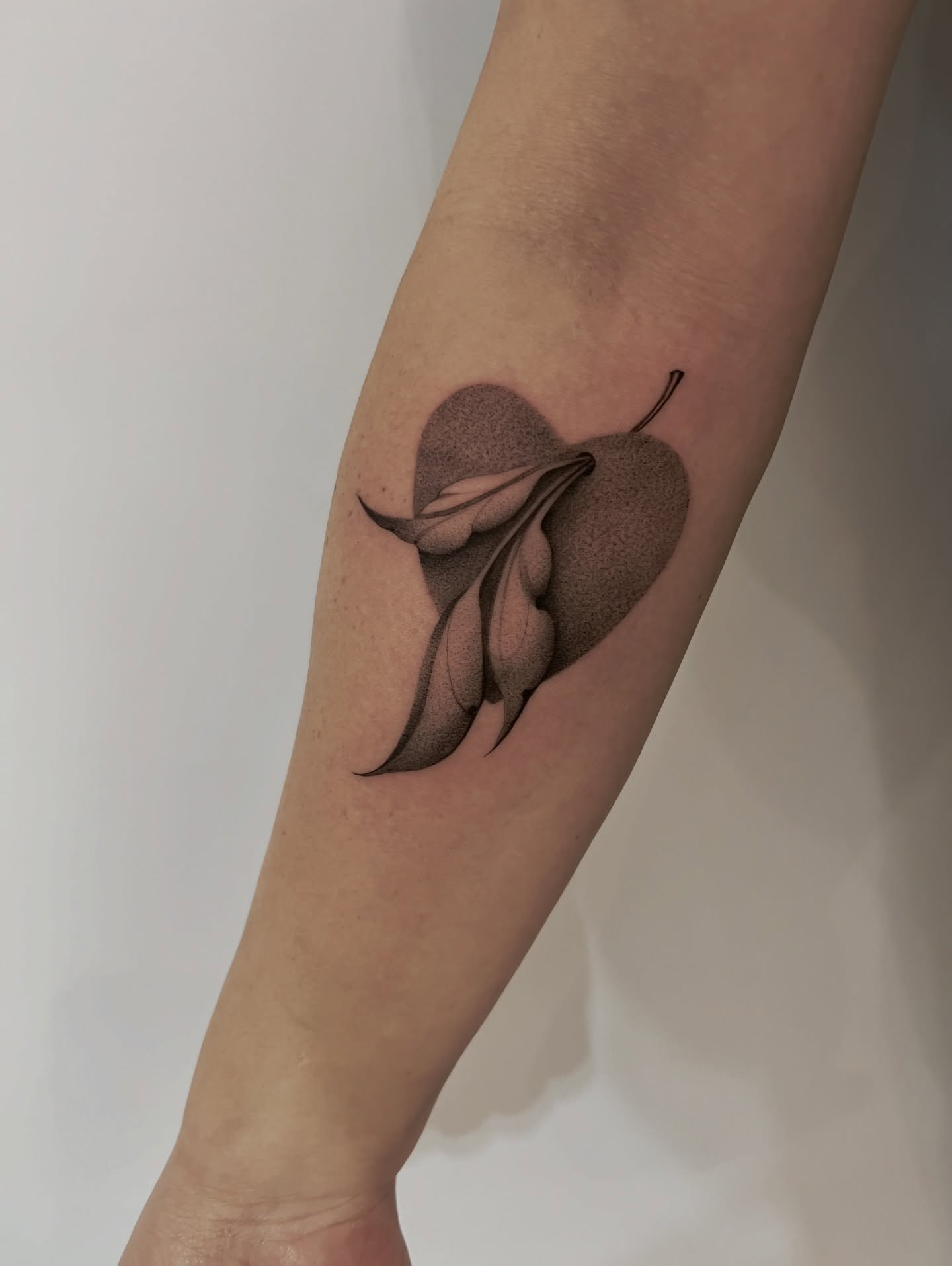 Pear dotwork tattoo on the forearm by 𝑱𝒖𝒍𝒊𝒂𝒏𝒏𝒂 𝑴𝒆𝒏𝒏𝒂✥𝑷𝒉𝒊𝒍𝒂𝒅𝒆𝒍𝒑𝒉𝒊𝒂✥𝑩𝒍𝒂𝒄𝒌 𝒂𝒏𝒅 𝑮𝒓𝒂𝒚
