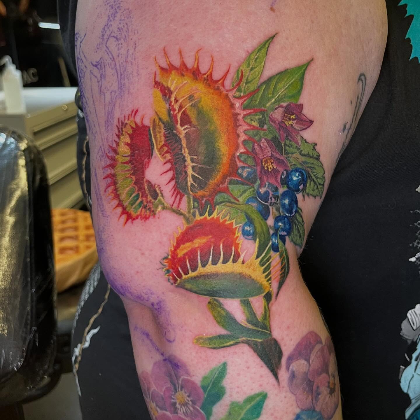 Venus flytrap realism tattoo on the forearm by Lenny Paul - Ohio Tattoo Artist, Canton, Ohio