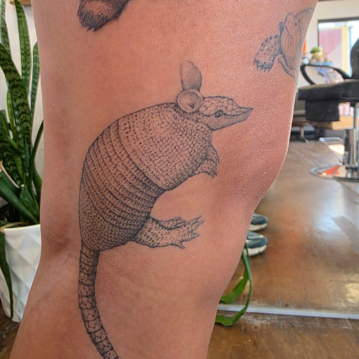 Tattoo by @asparagusnightmare — dotwork