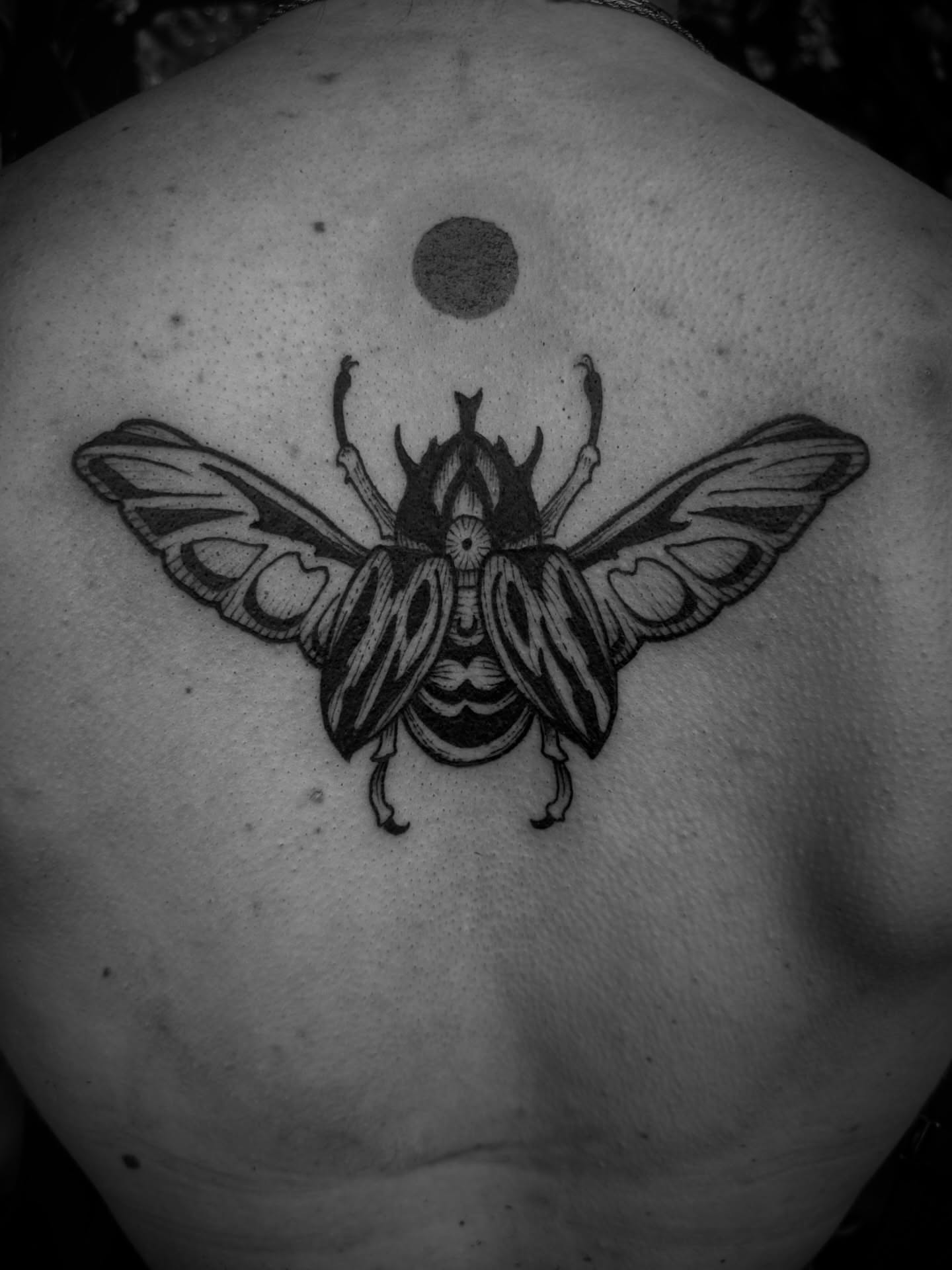 Scarab beetle black and grey tattoo on the back by Desireé Keys, Midvale, Utah